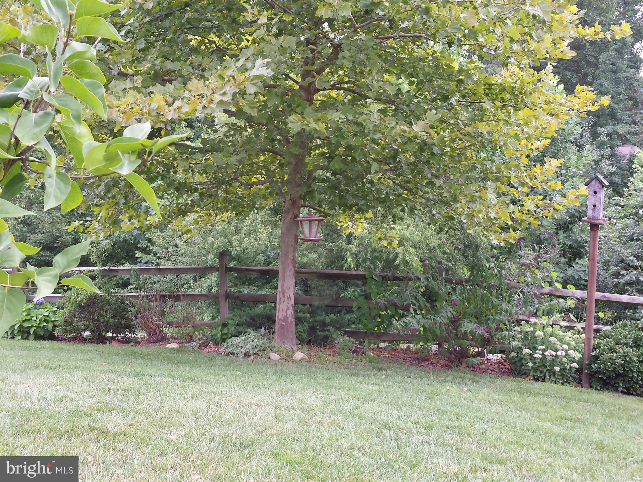 LEGACY WOODS - Residential