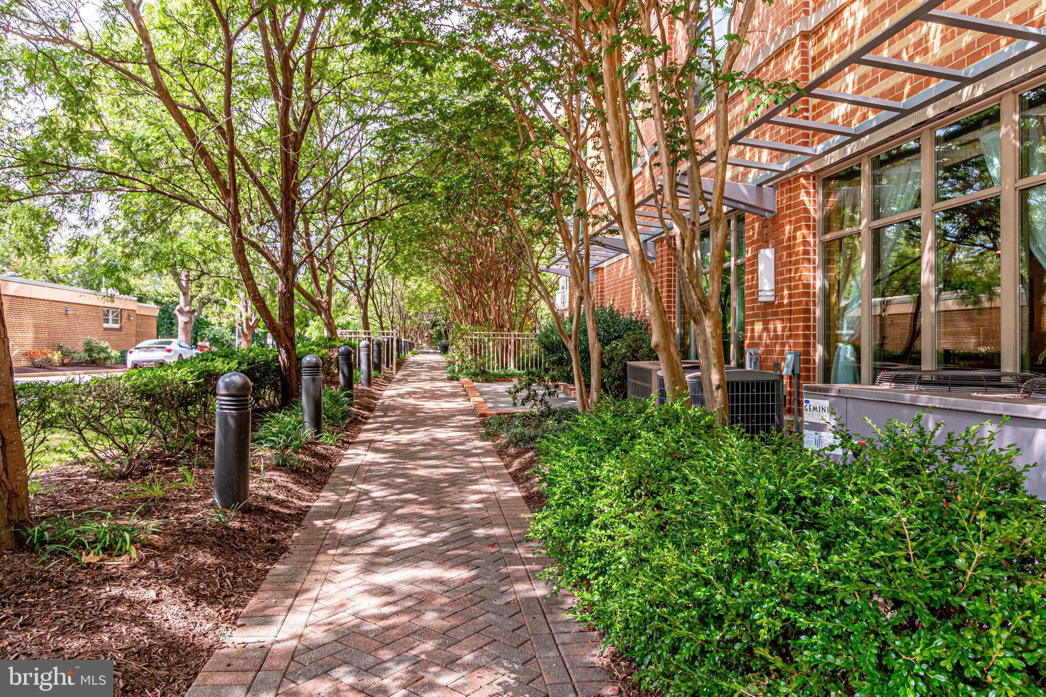 BERKELEY AT BALLSTON - Residential