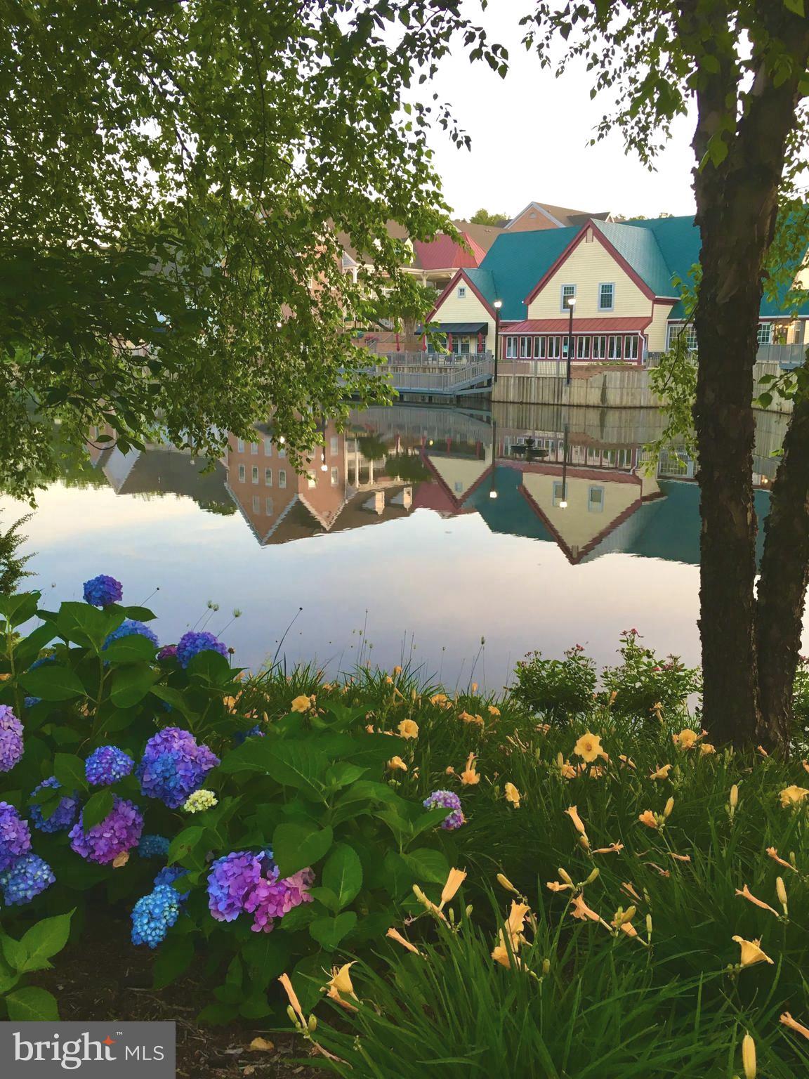 TACKETTS MILL - Residential