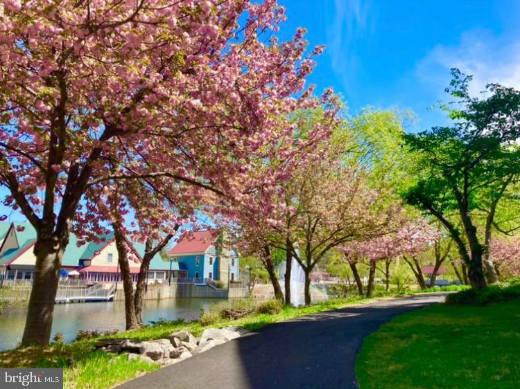 TACKETTS MILL - Residential