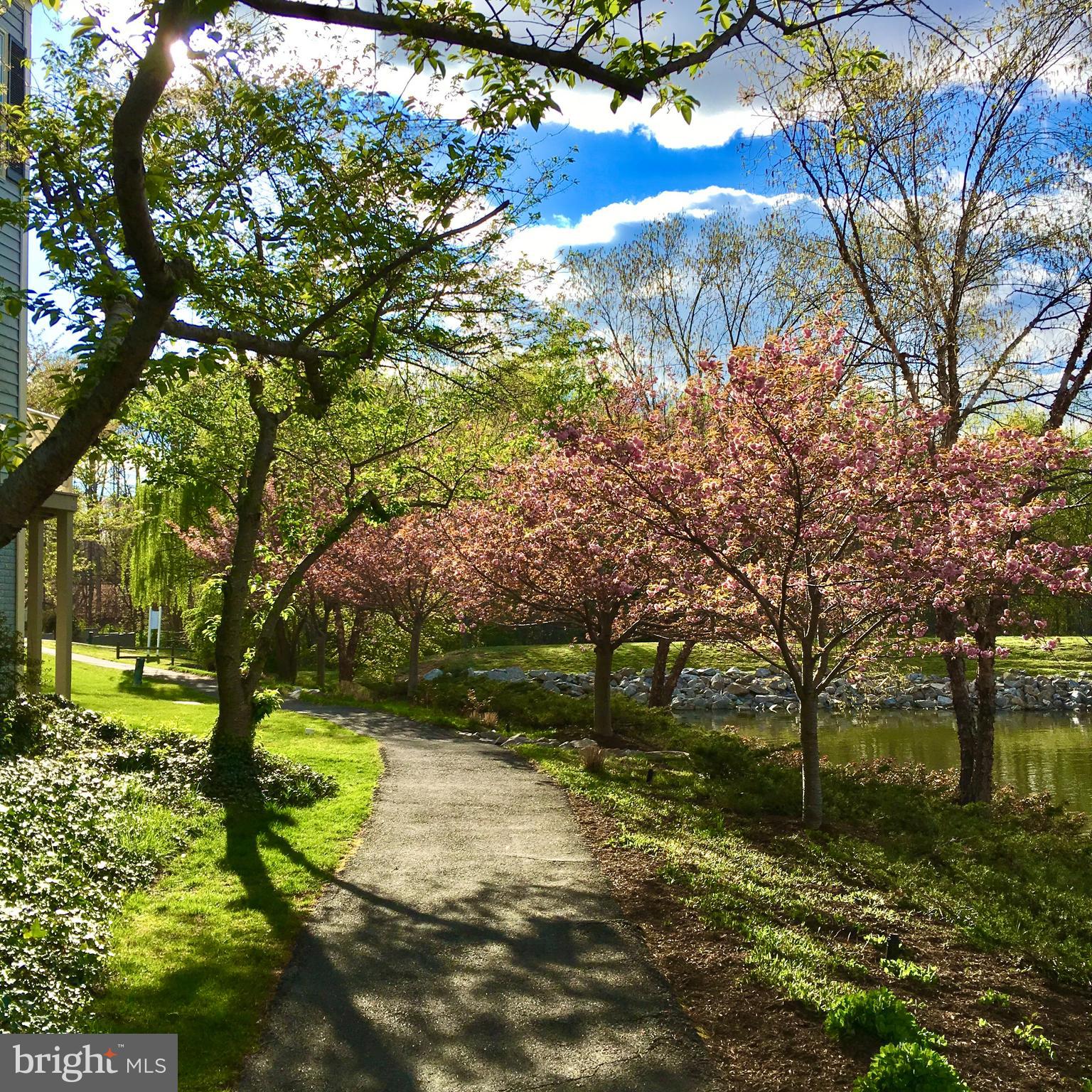 TACKETTS MILL - Residential