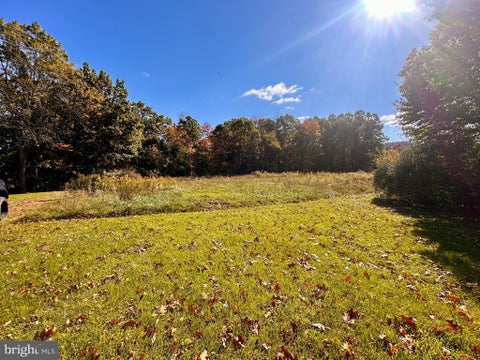 Vacant Land For Sale - LOT 1 Great Cove Road<br/> Fulton County, FORT LITTLETON, PA 17223