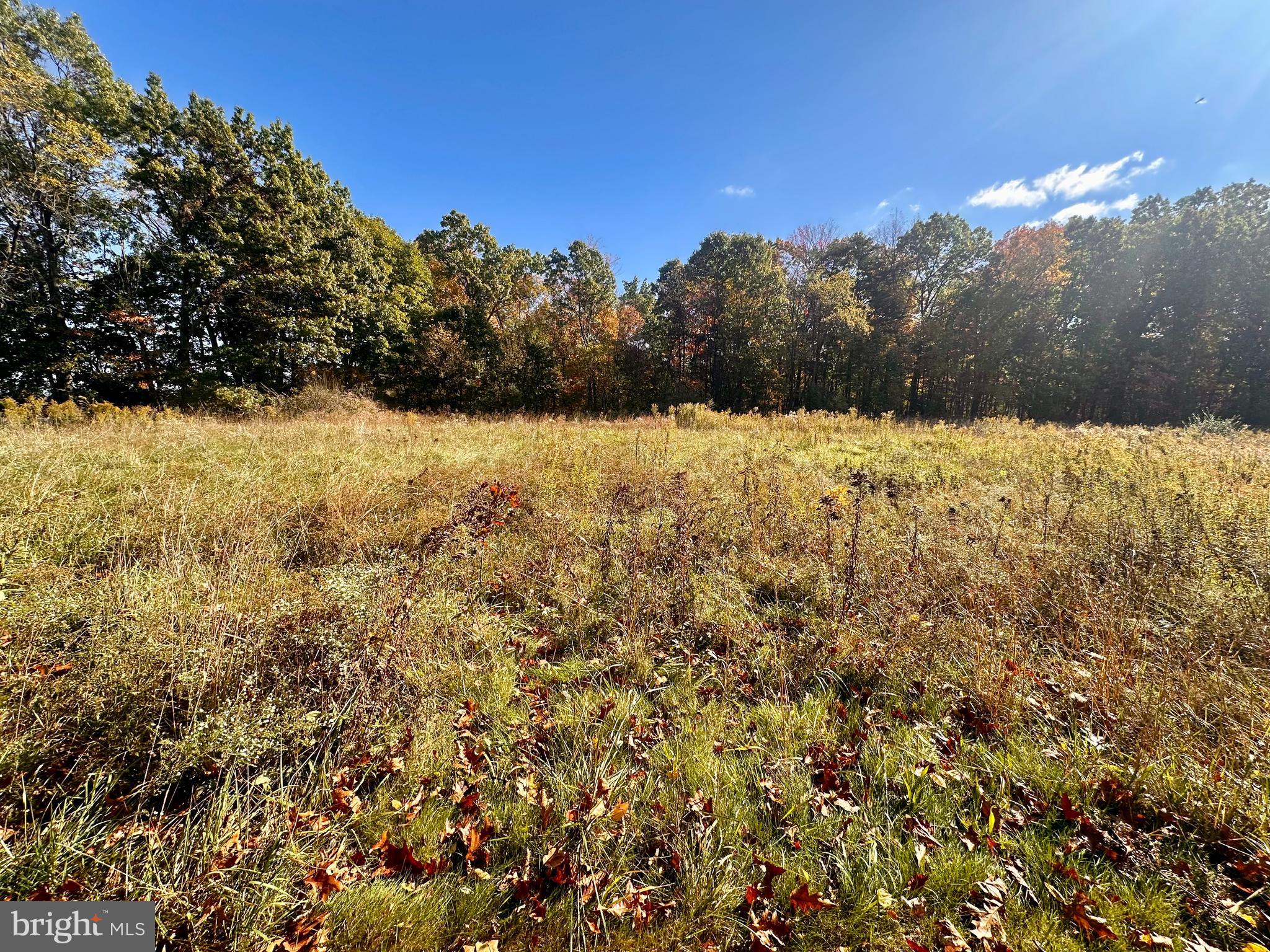 LOT 1 GREAT COVE ROAD