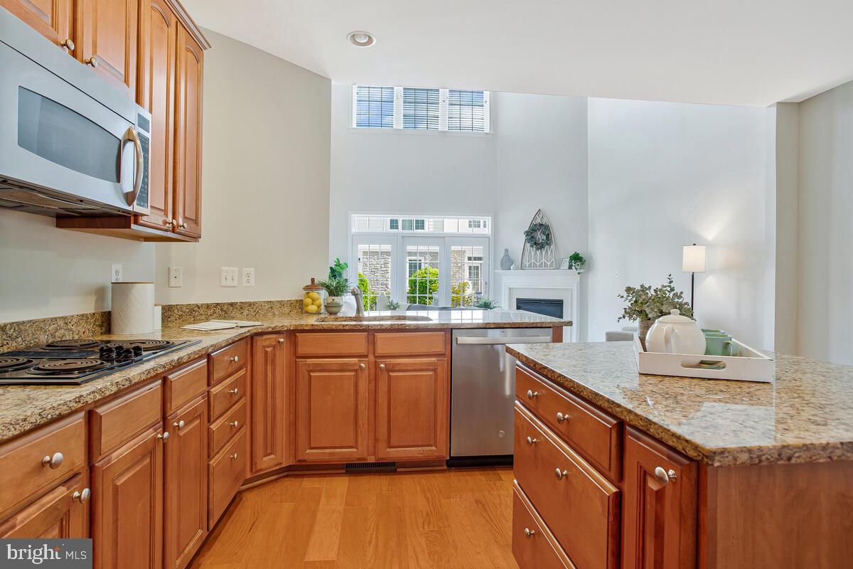 SNOWDEN OVERLOOK - Residential