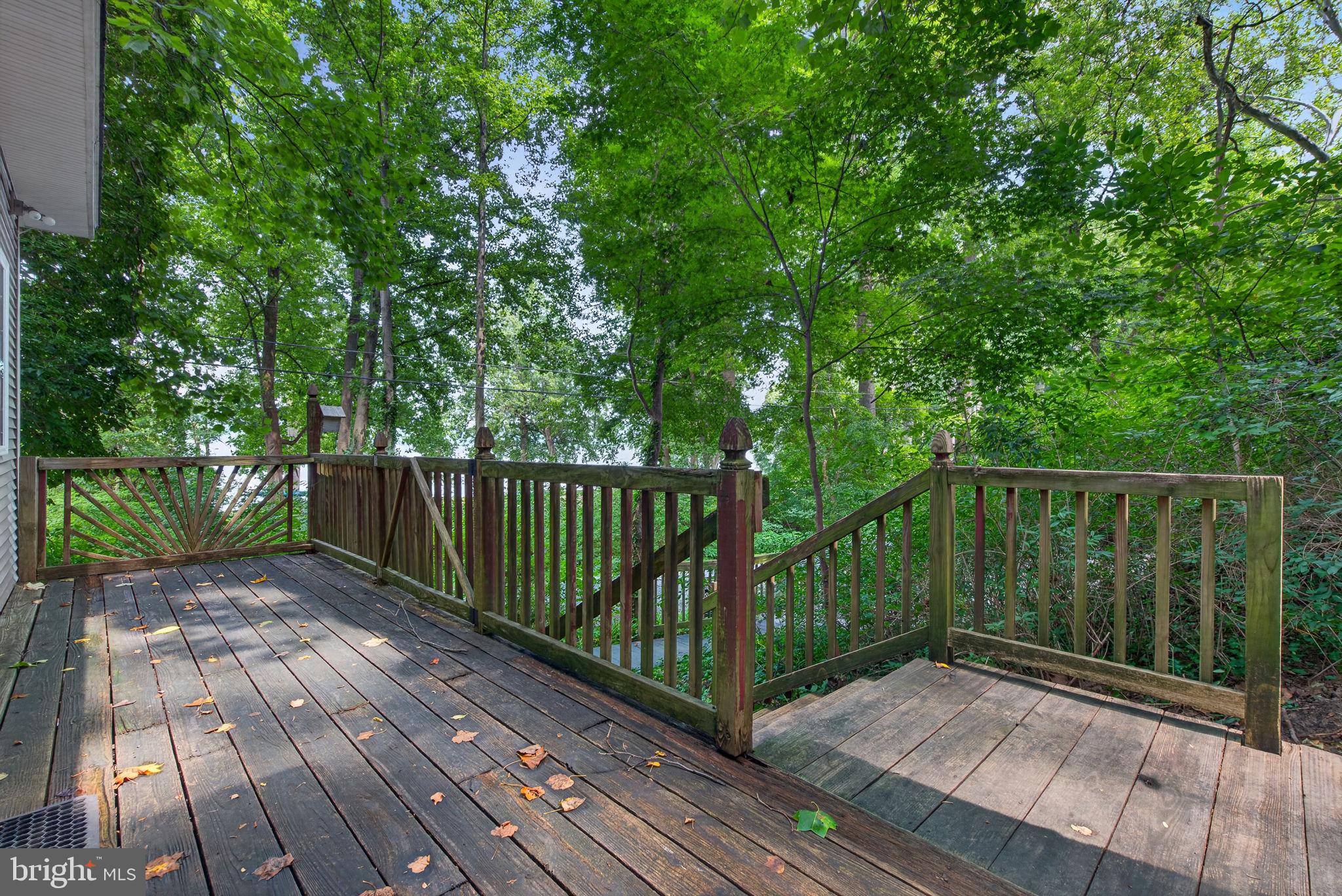 699 COLD CABIN ROAD