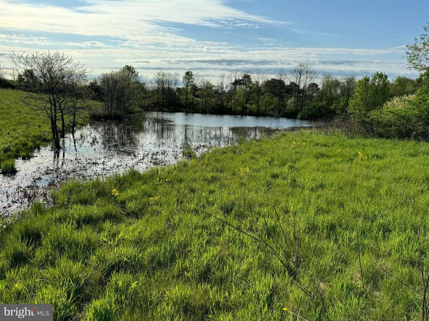If you have been looking for the right property to raise animals, have a large garden or both, that is conveniently located to major roadways, this may be the property for you ! Located on the east end of Winchester and within in a few driving minutes, you can connect to Route(s) 11, 37, 7 and Interstate 81.
Mostly open lot previously used by previous owners since the 1970"s as pasture for their cattle. Pond on the property
Call today