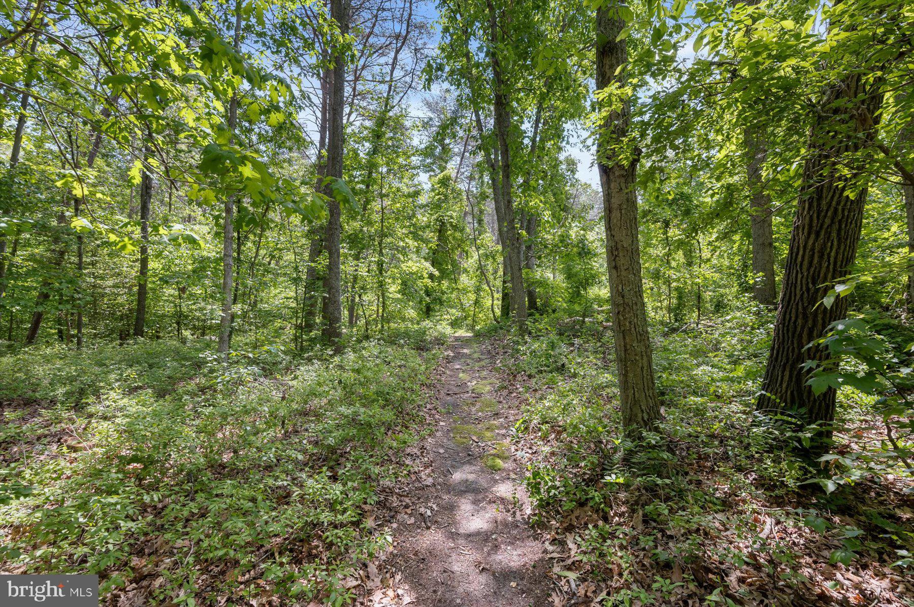 STRADFORD HALL - Residential