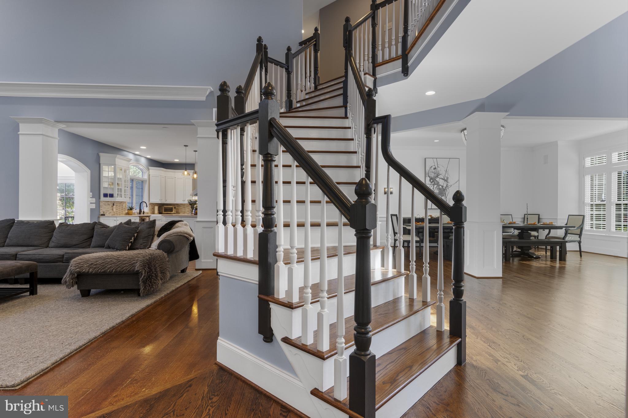 BAYARD MEADOWS - Residential