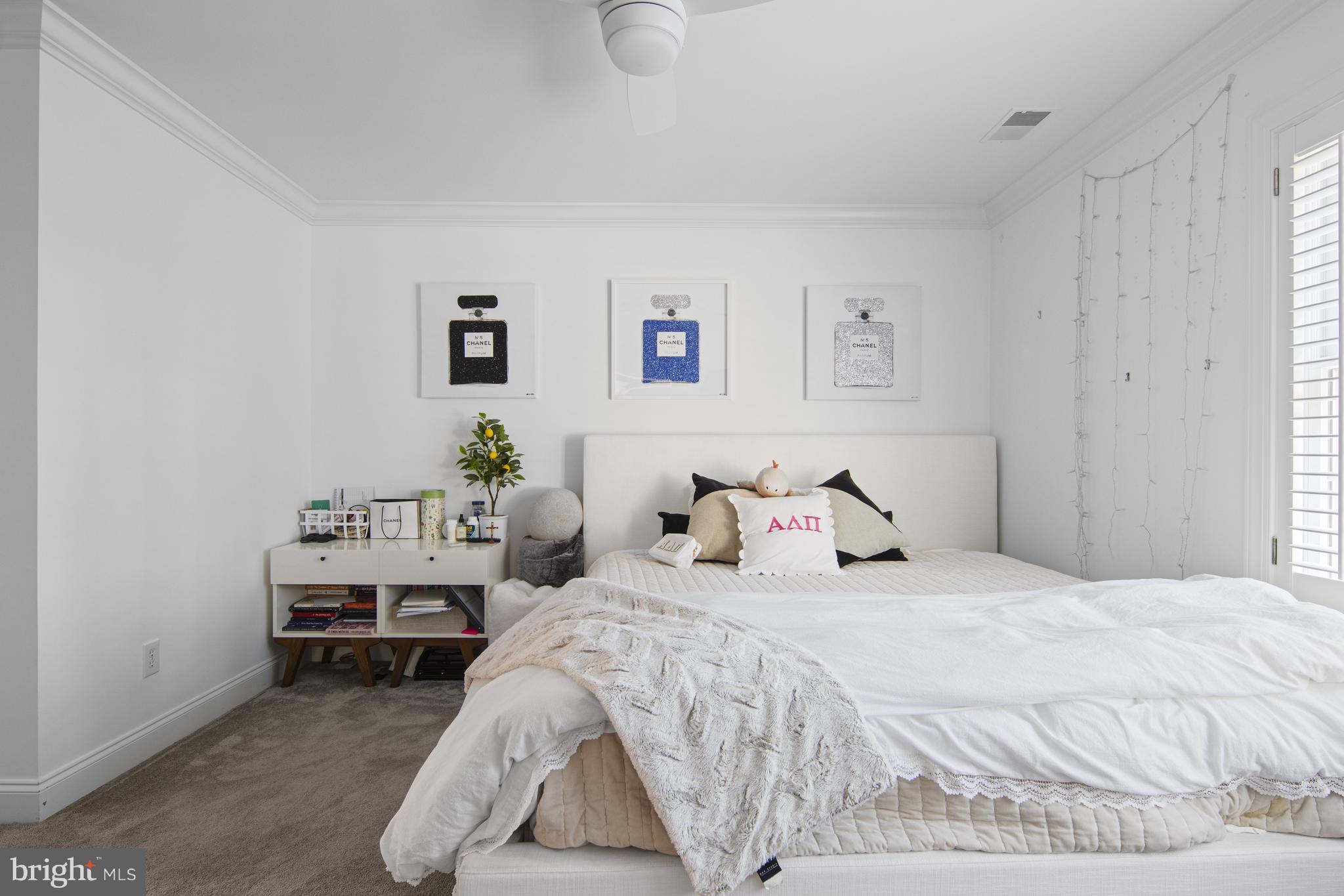 BAYARD MEADOWS - Residential