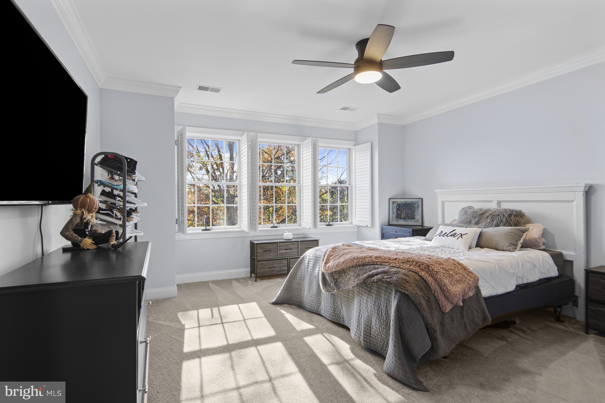 BAYARD MEADOWS - Residential