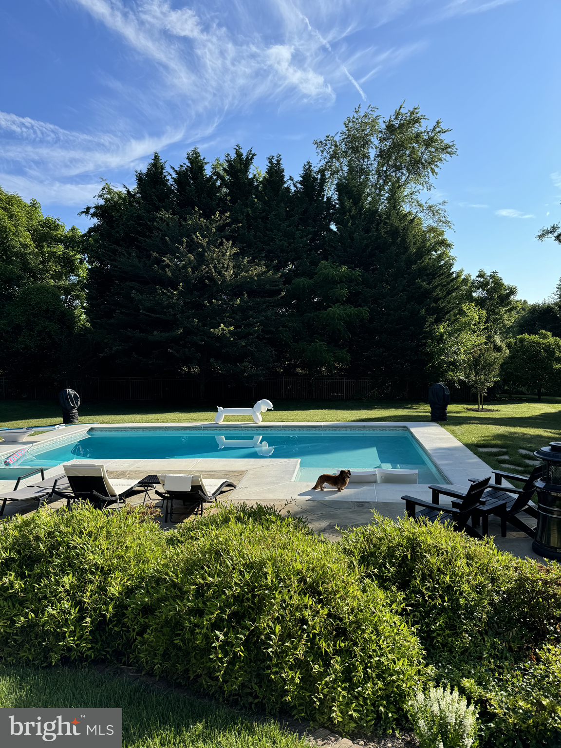 BAYARD MEADOWS - Residential