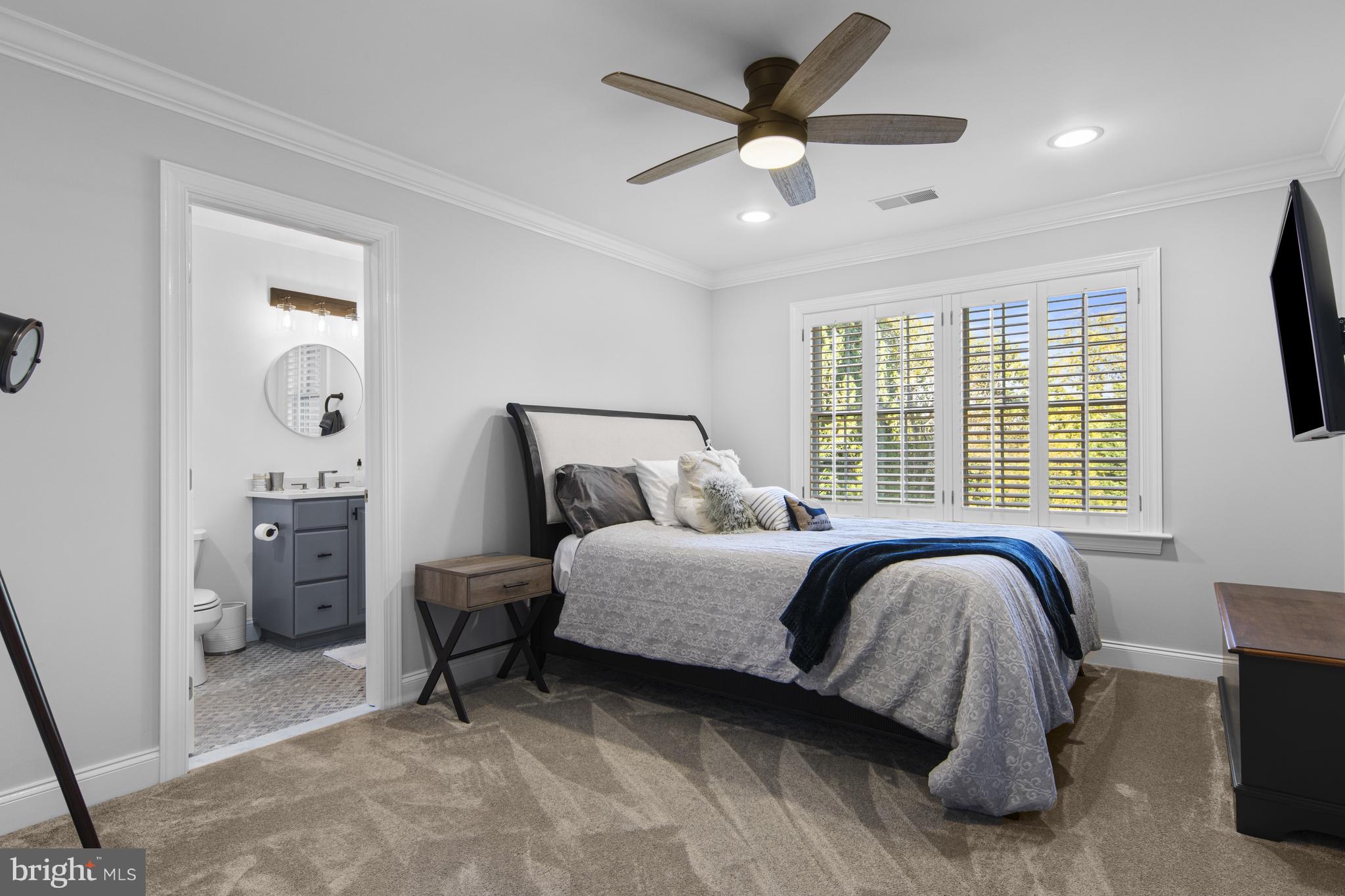 BAYARD MEADOWS - Residential