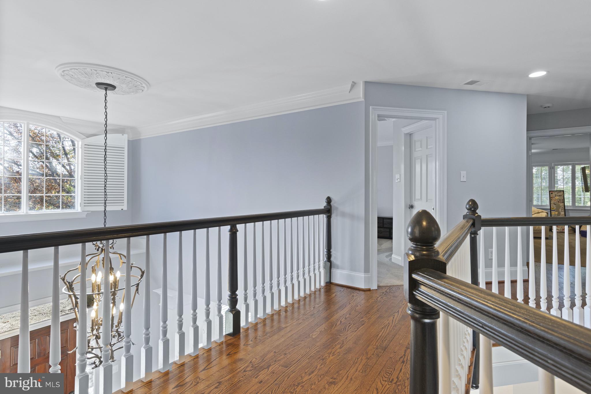 BAYARD MEADOWS - Residential