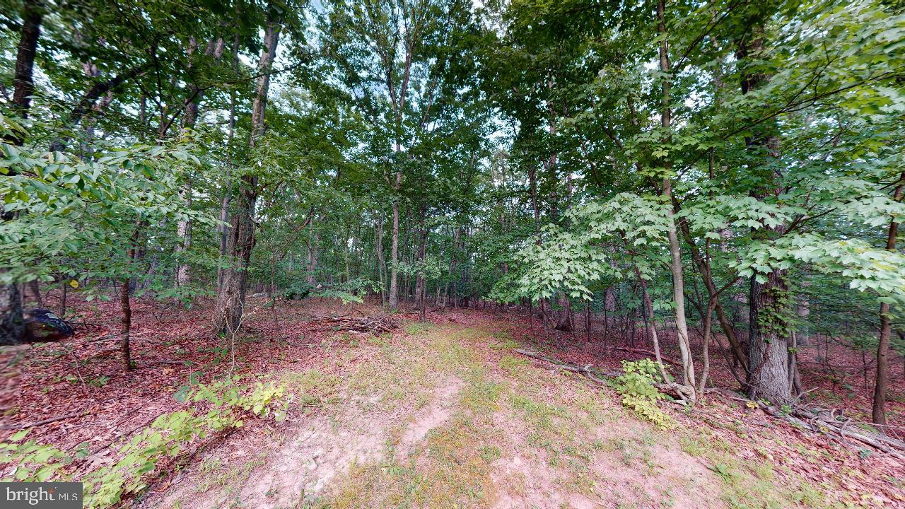 FALCONWOOD - Residential