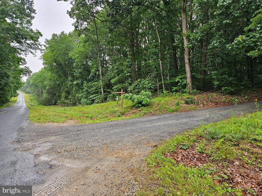 Welcome to this 8 acre+/- property loaded with Mature Timber and a rolling topography in Kent County Md. This beautiful property has had previous site work performed to move it closer to becoming your own homestead oasis in the woods with the Electric and Well already onsite. The property is perfectly wooded with an idea situation for a lovely pond. How about the possibility of an evening bike ride to still Pond Creek or maybe a short trip to Betterton Beach.
