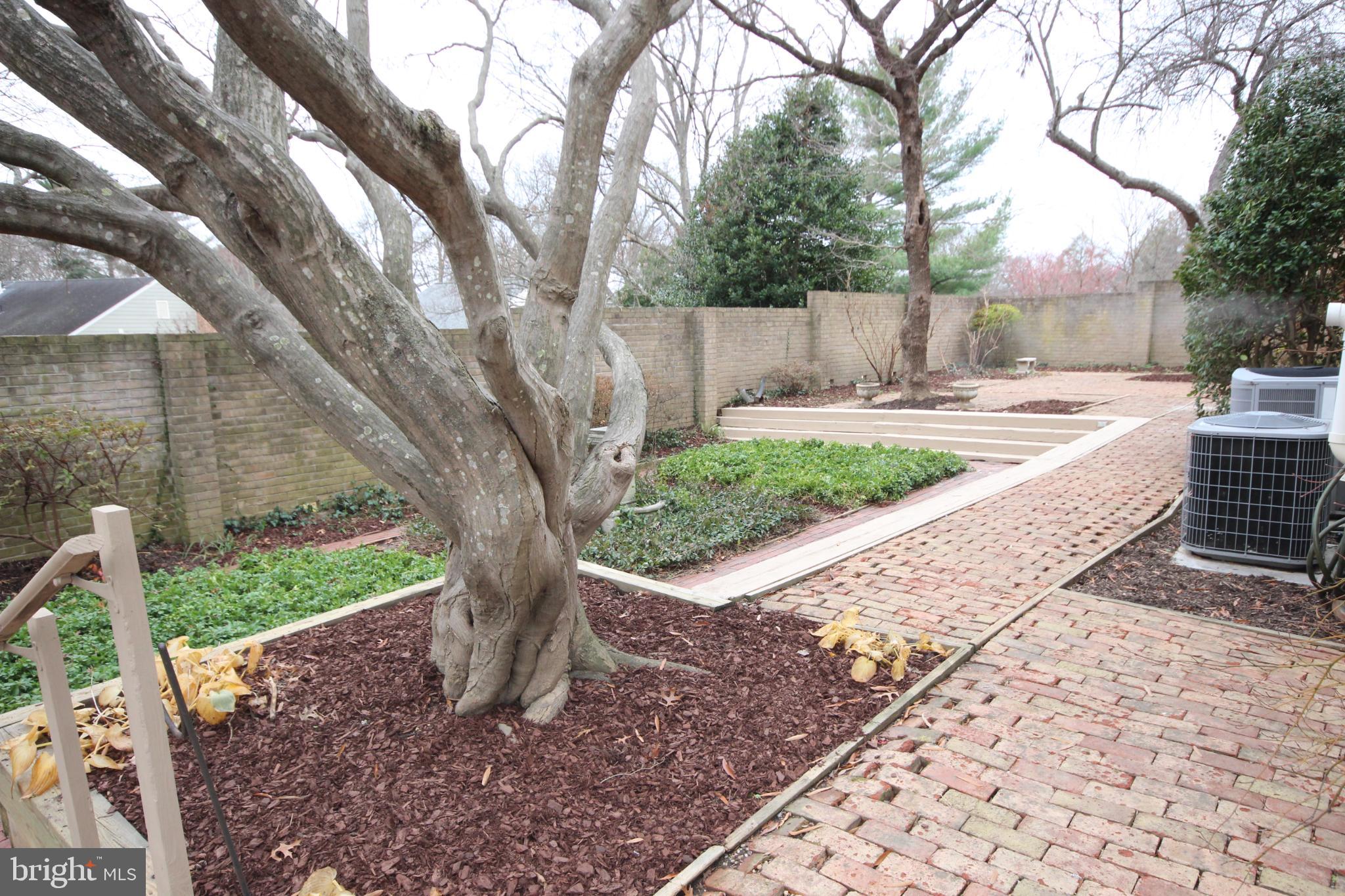 COURTS OF WHETSTONE - Residential