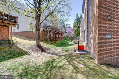 listing image 57