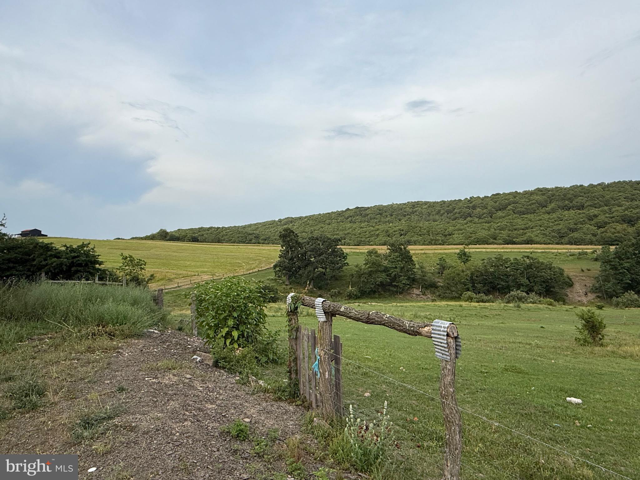 NONE AVAILABLE - Farm