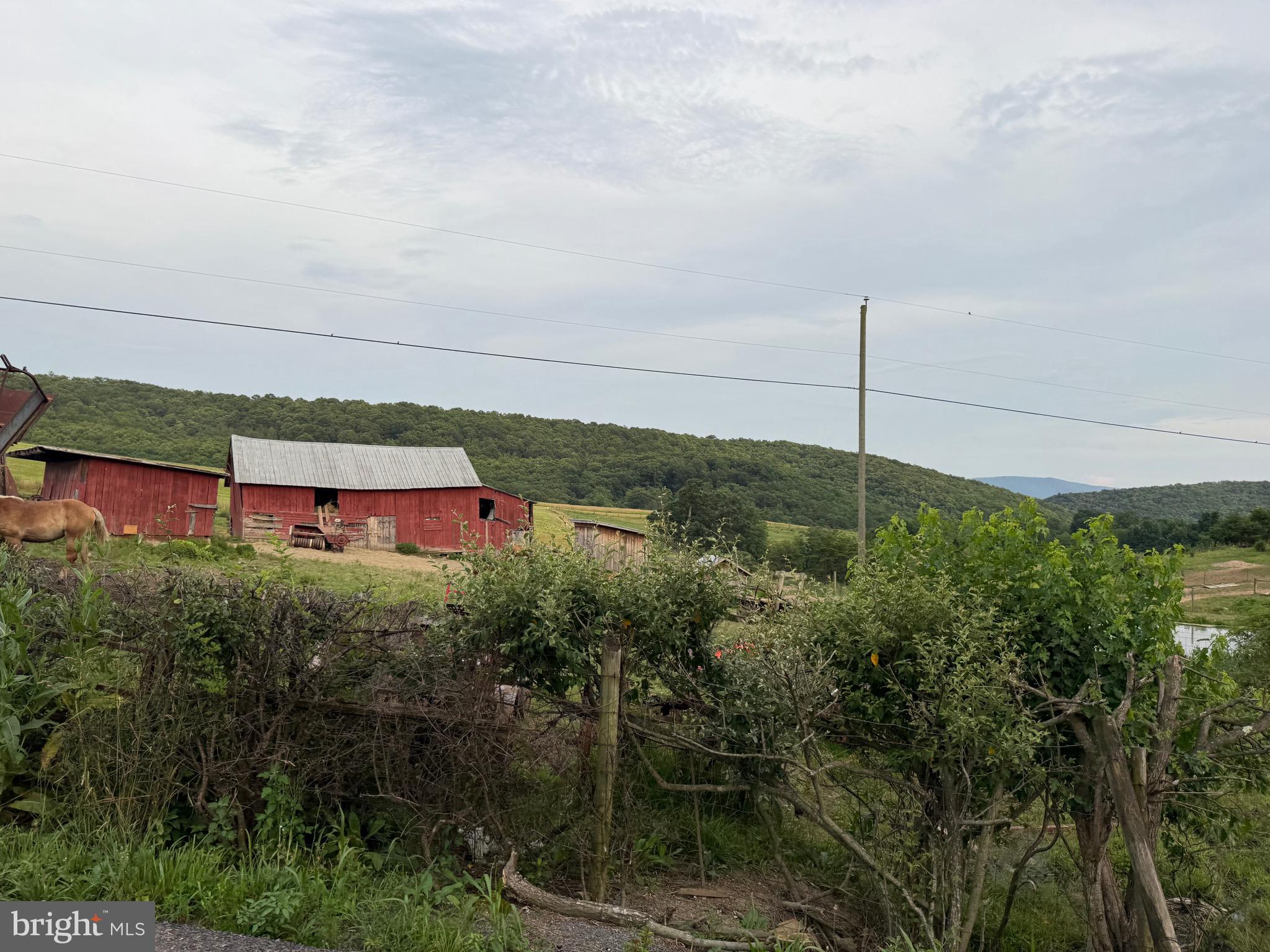 NONE AVAILABLE - Farm