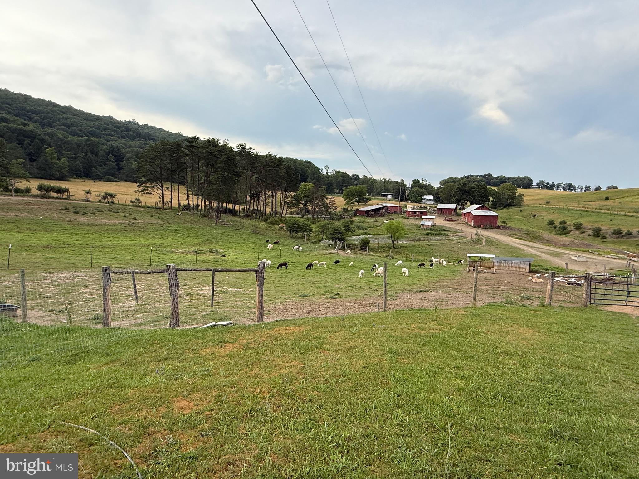 NONE AVAILABLE - Farm