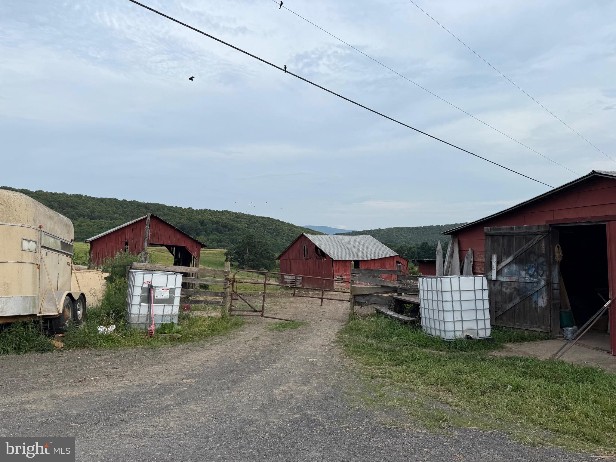 NONE AVAILABLE - Farm