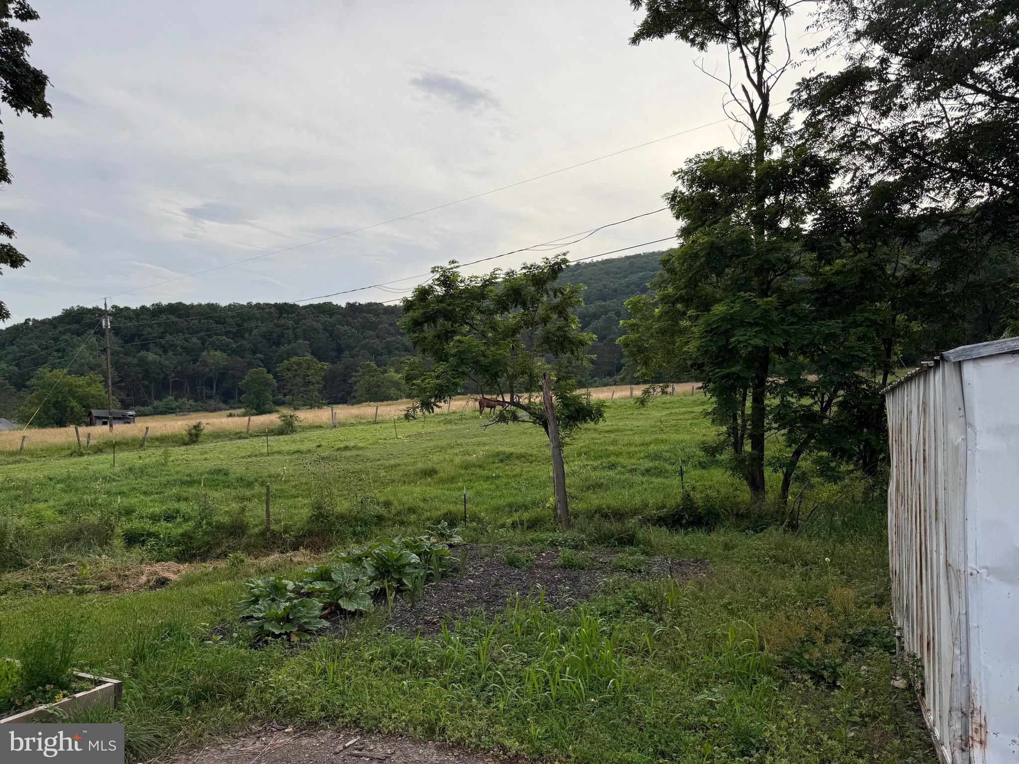 NONE AVAILABLE - Farm