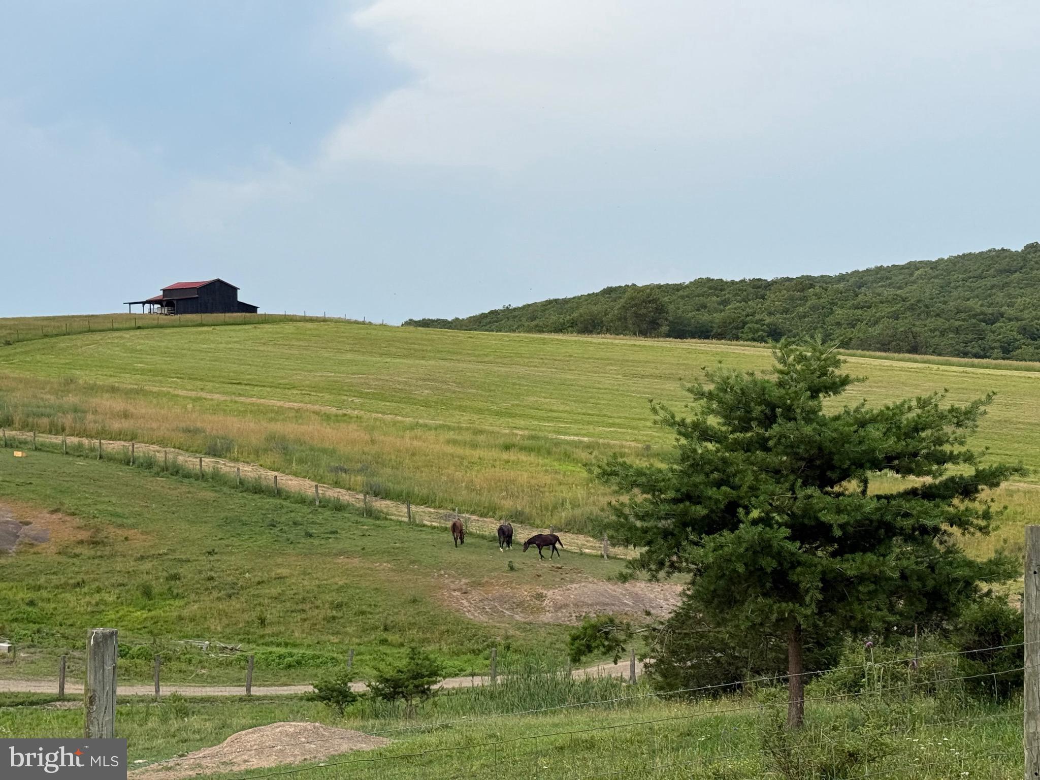 NONE AVAILABLE - Farm