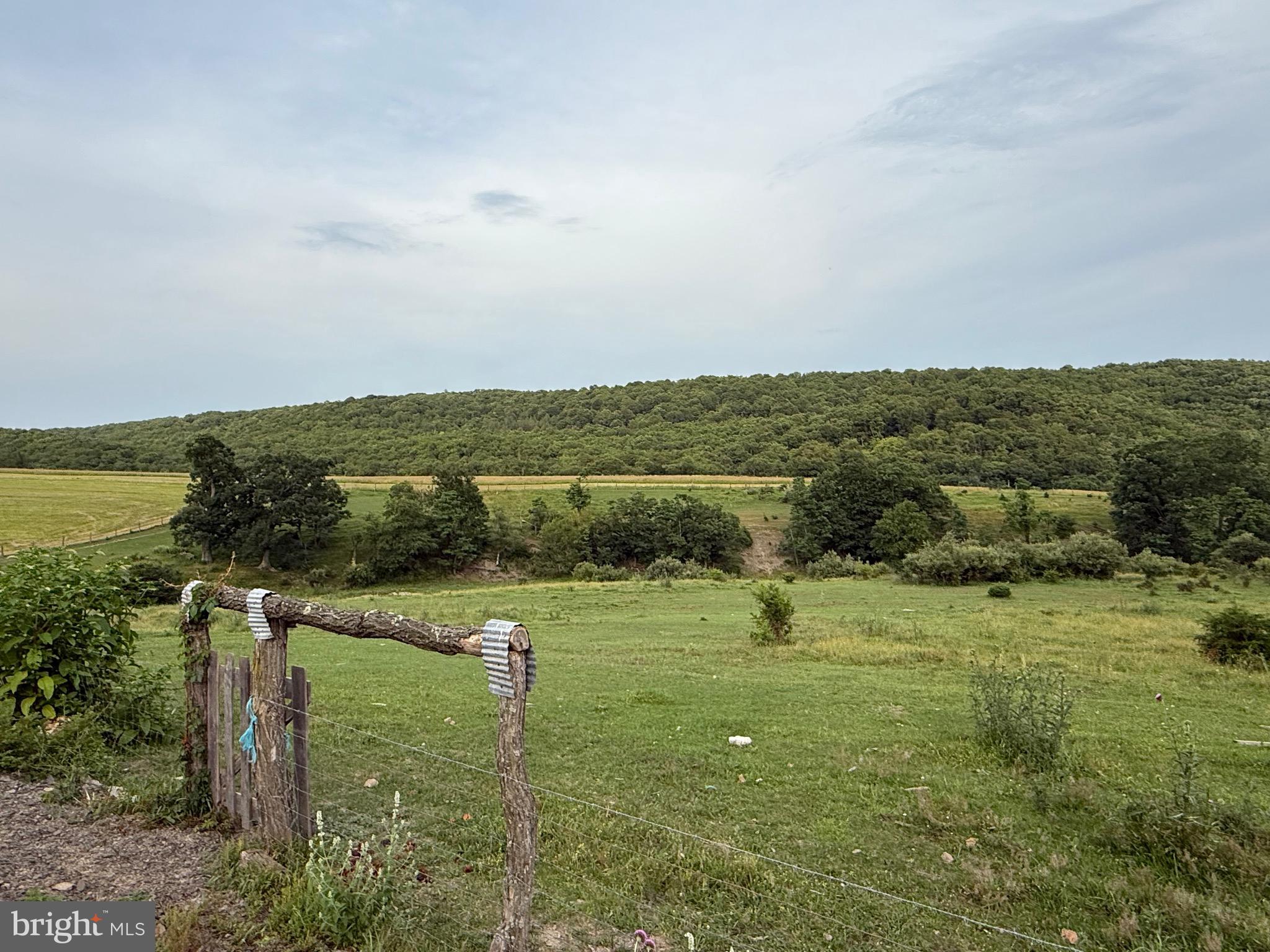 NONE AVAILABLE - Farm