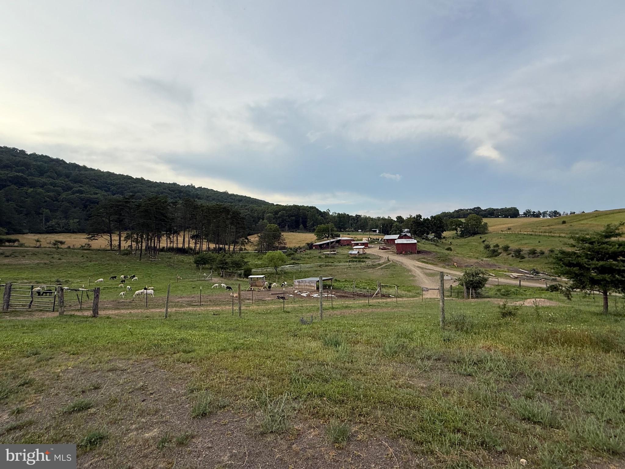 NONE AVAILABLE - Farm