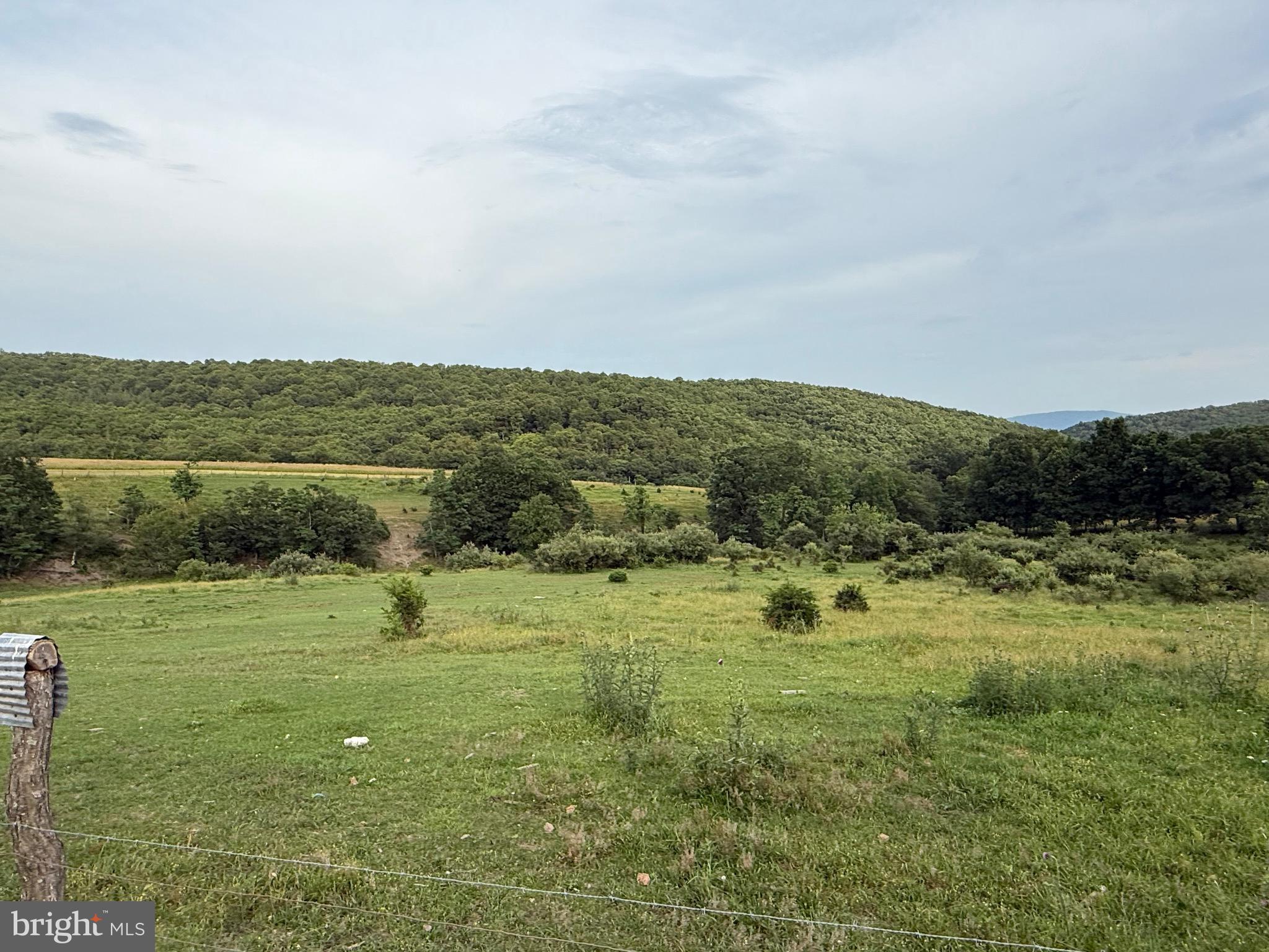 NONE AVAILABLE - Farm