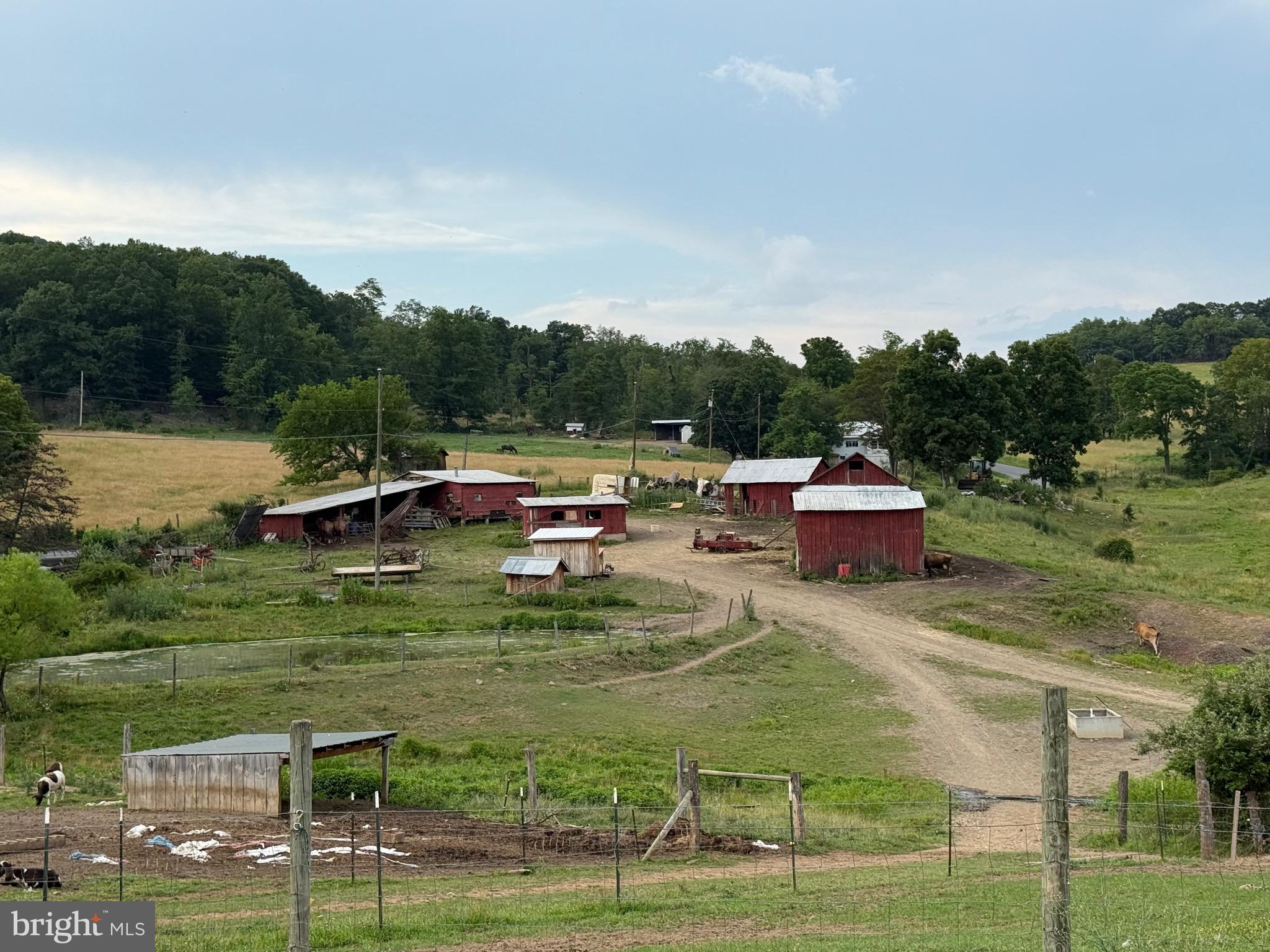 NONE AVAILABLE - Farm