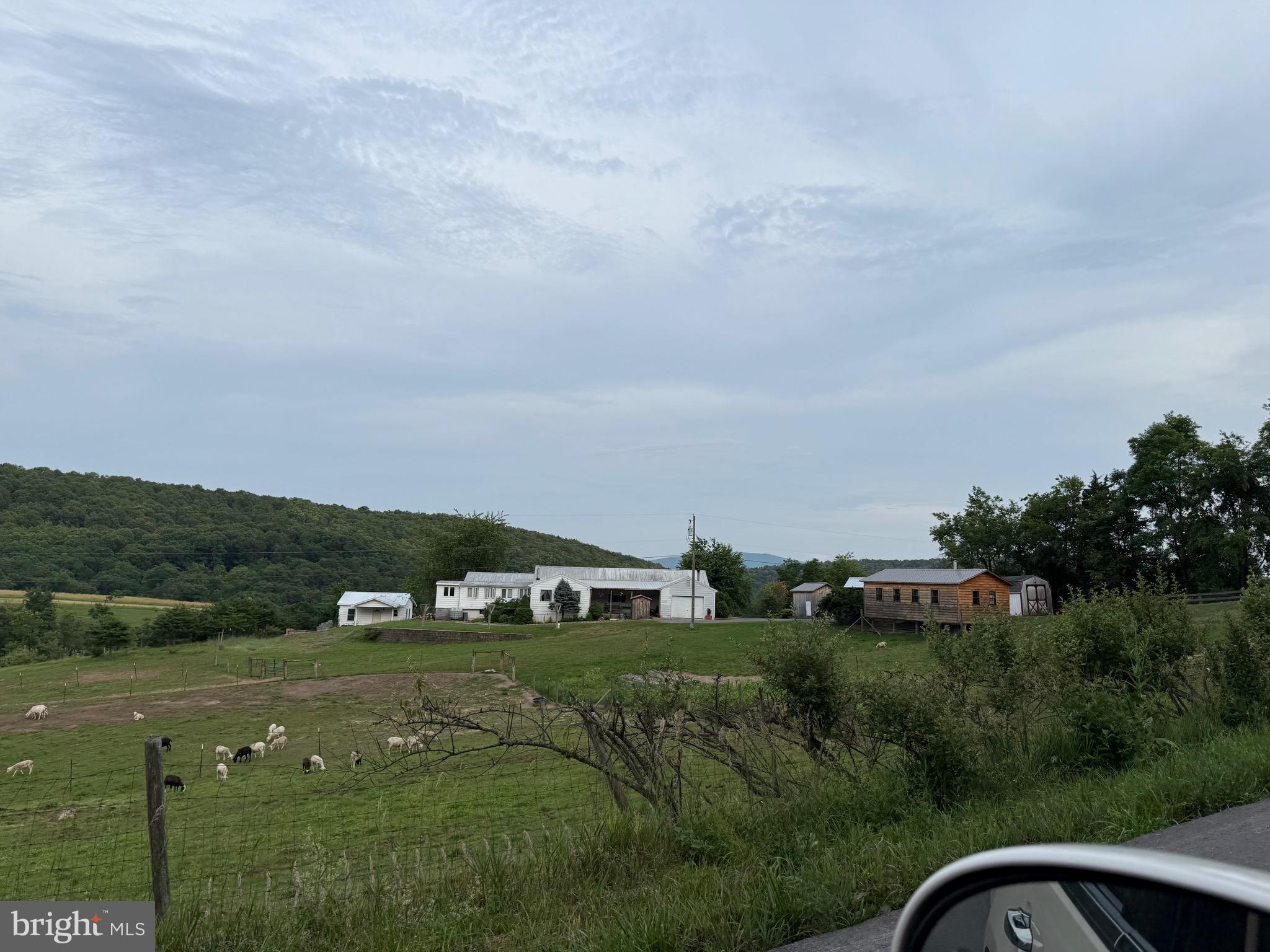 NONE AVAILABLE - Farm