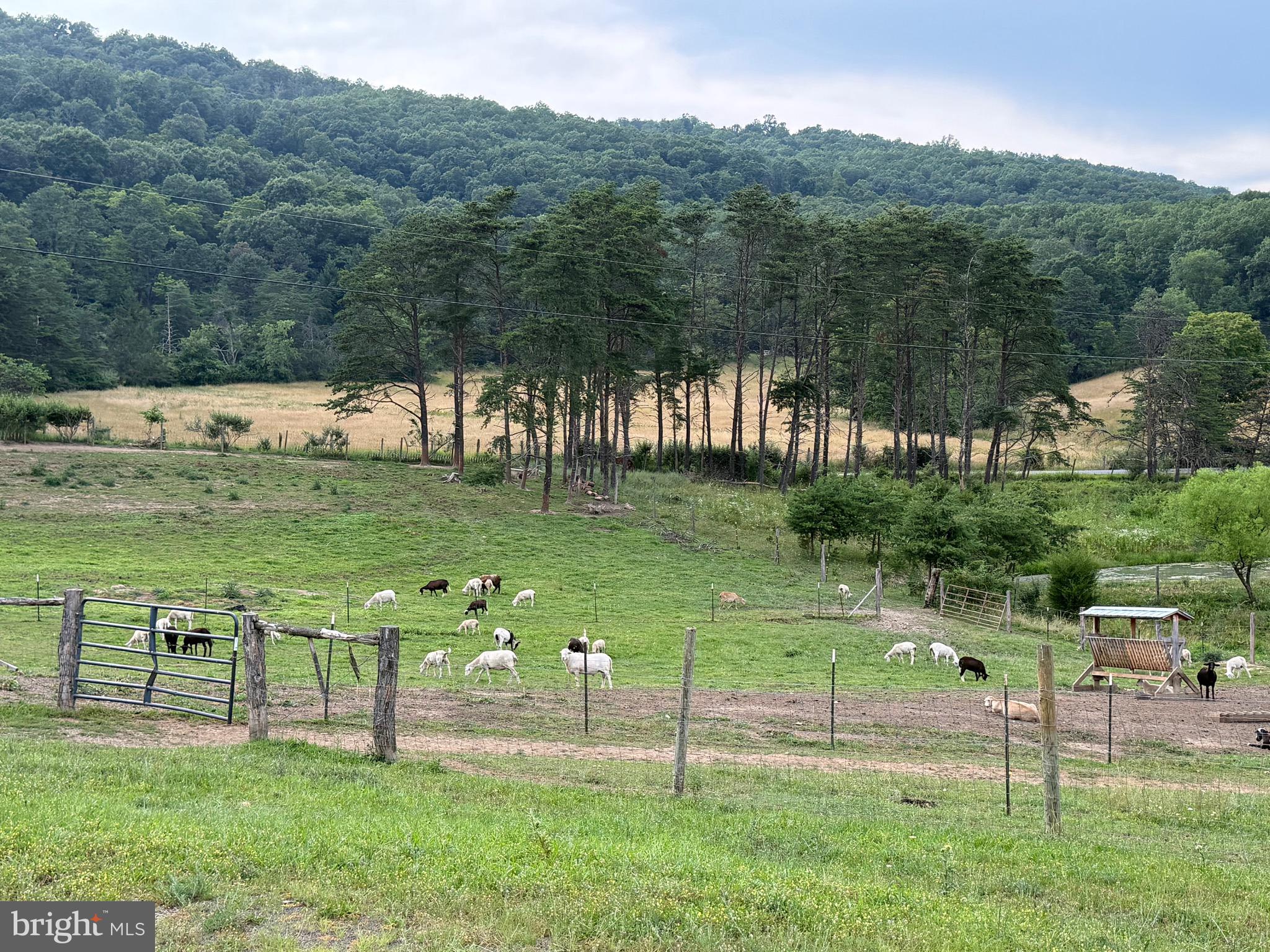 NONE AVAILABLE - Farm