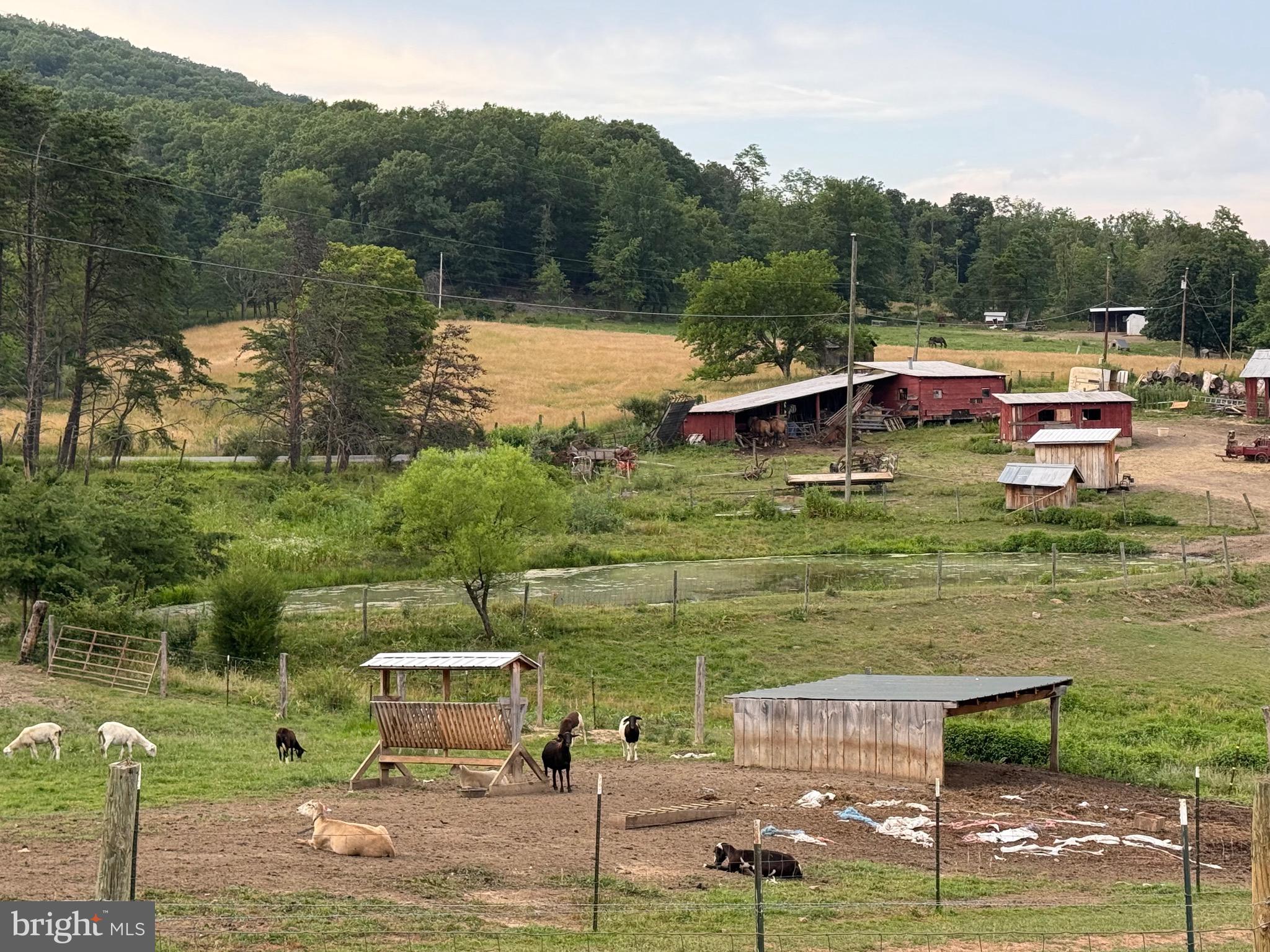 NONE AVAILABLE - Farm