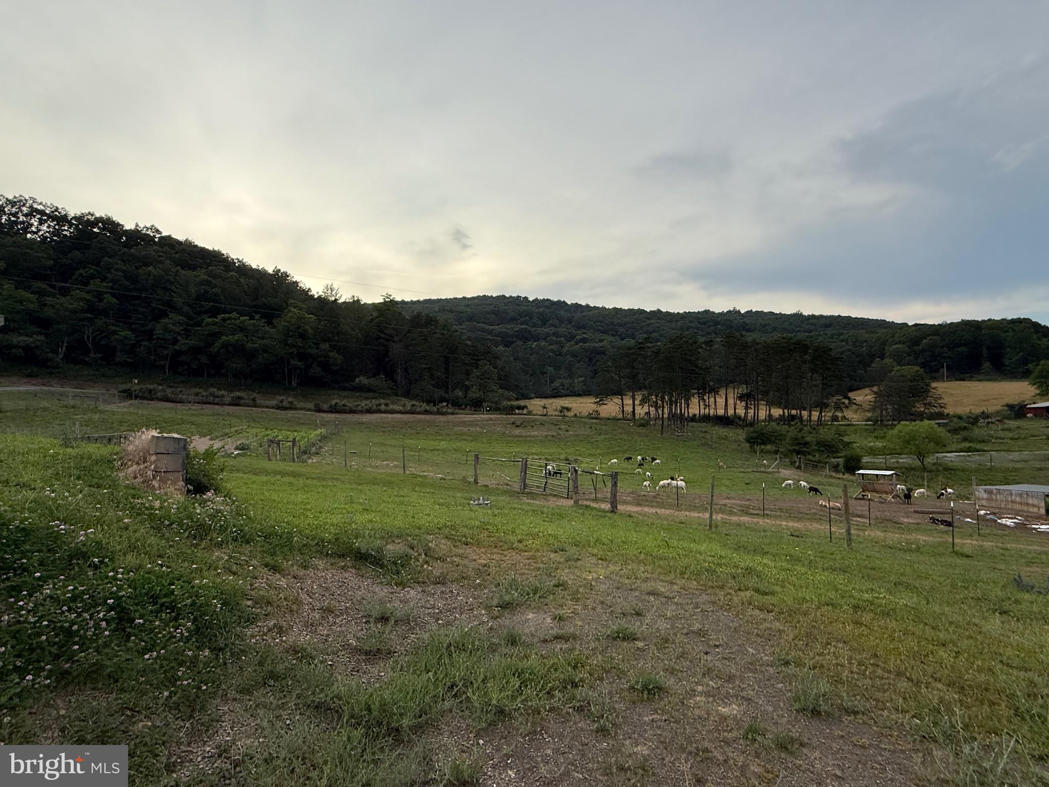 NONE AVAILABLE - Farm