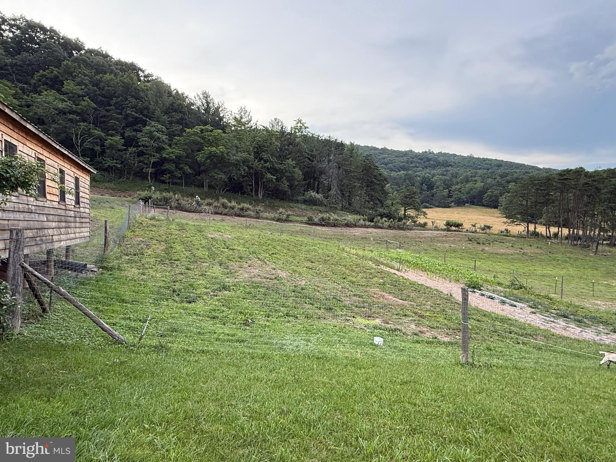 NONE AVAILABLE - Farm