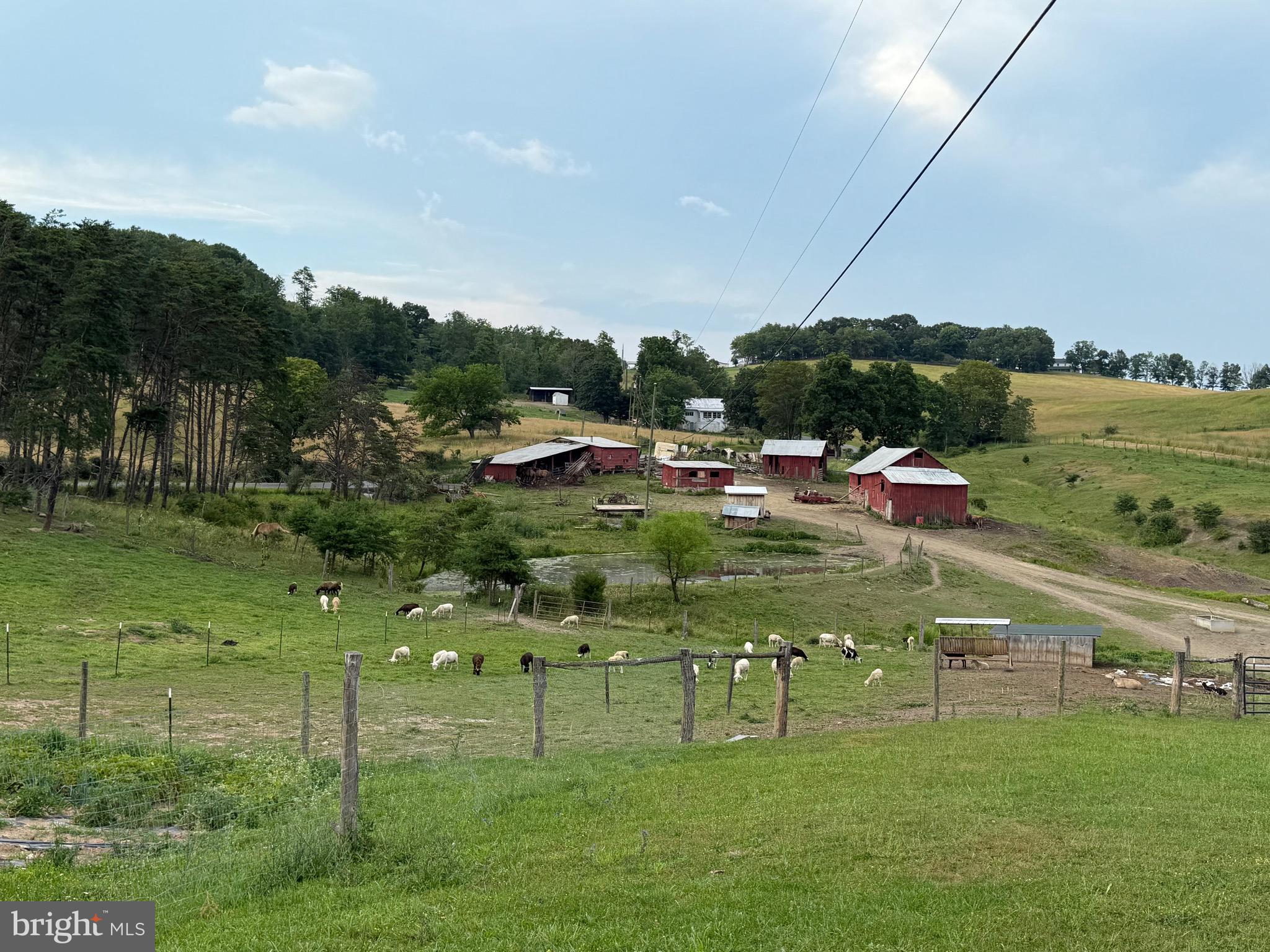 NONE AVAILABLE - Farm