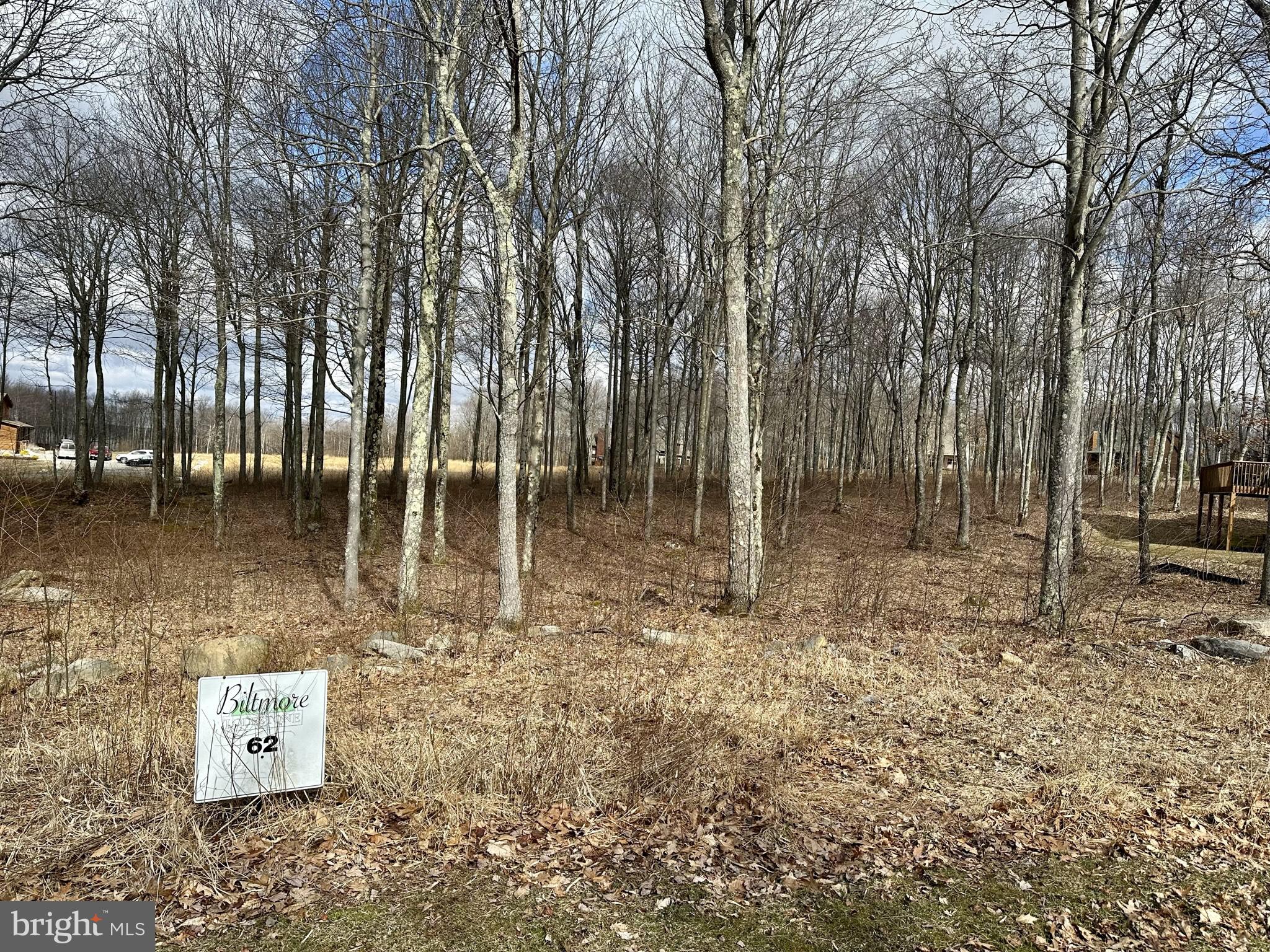 LODESTONE SUB - Land