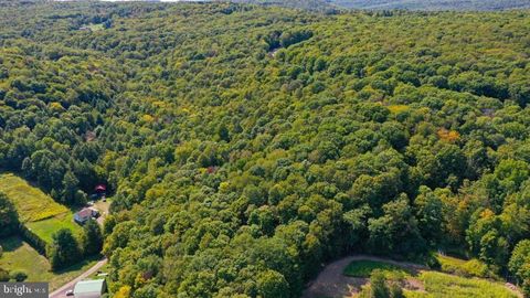 16 E BITTINGER ROAD GRANTSVILLE MD 21536