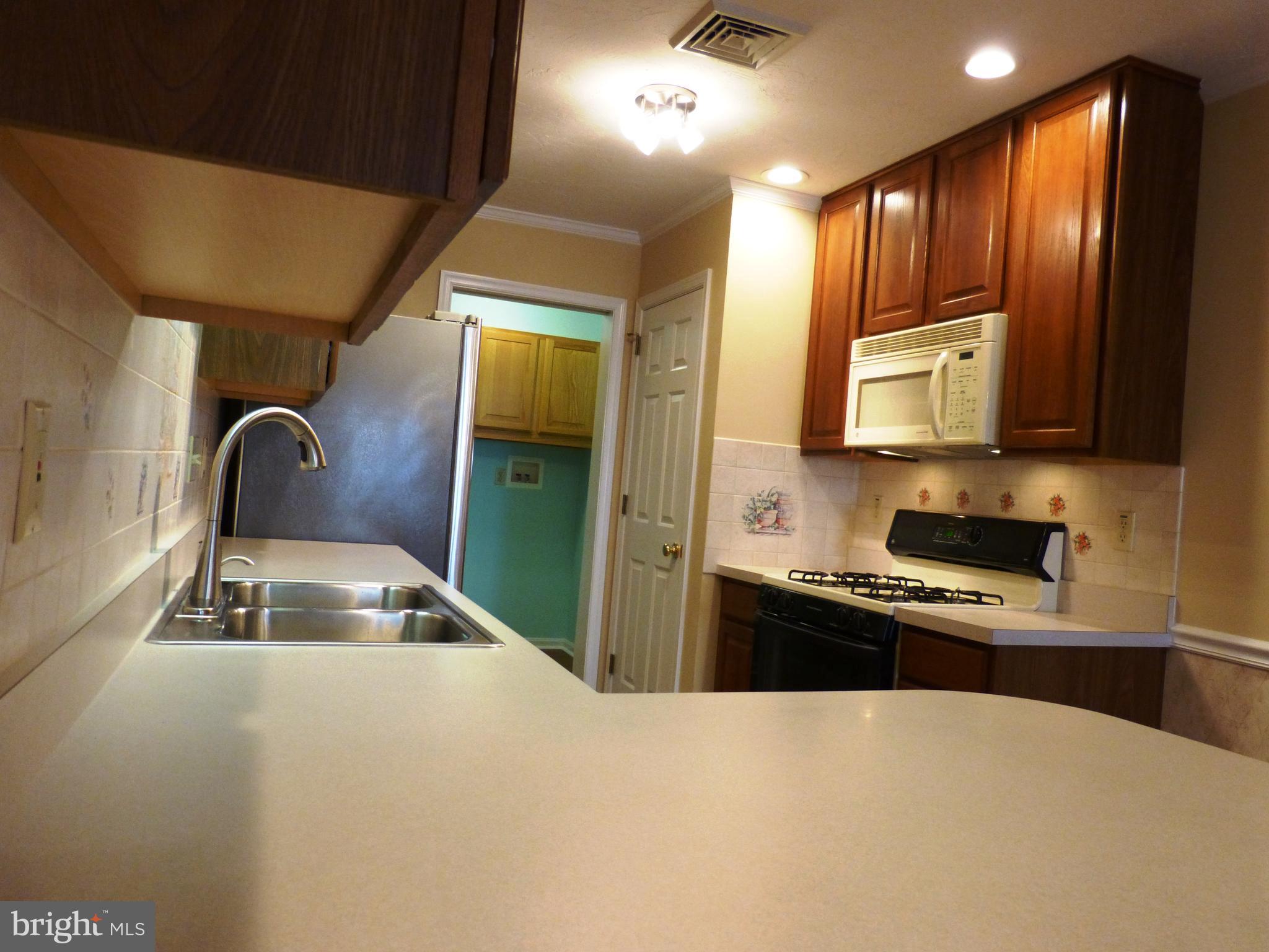 VILLAGE AT WELLINGTON - Residential