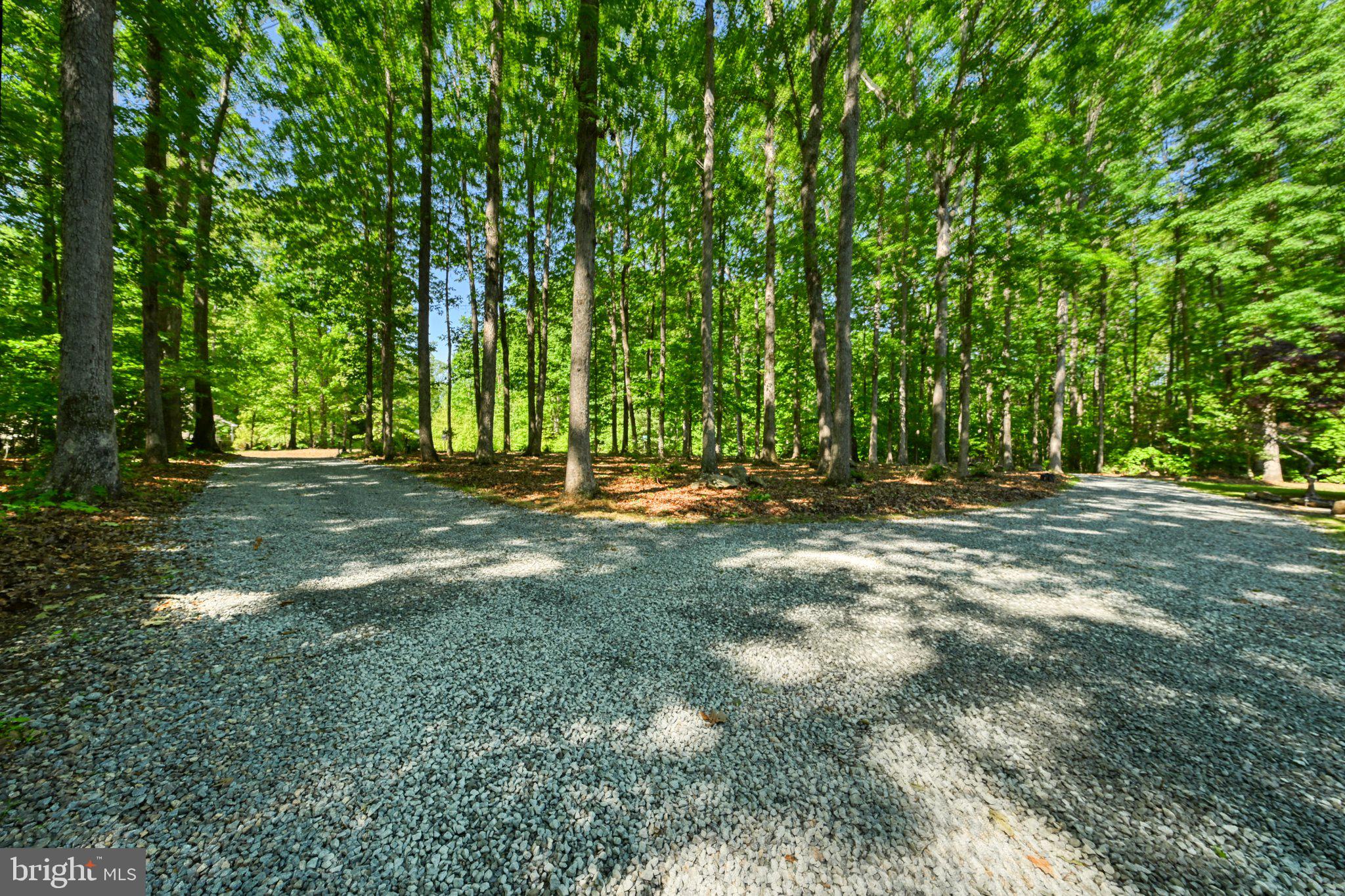 SYCAMORE SHOALS - Residential