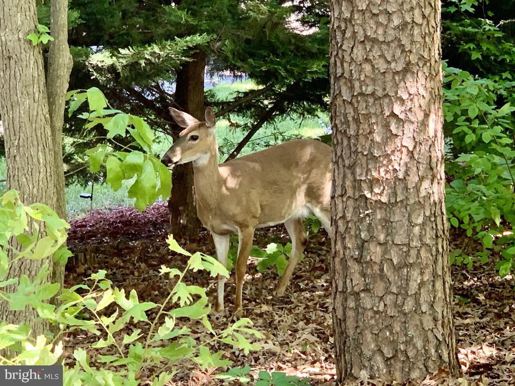 AQUIA HARBOUR - Residential