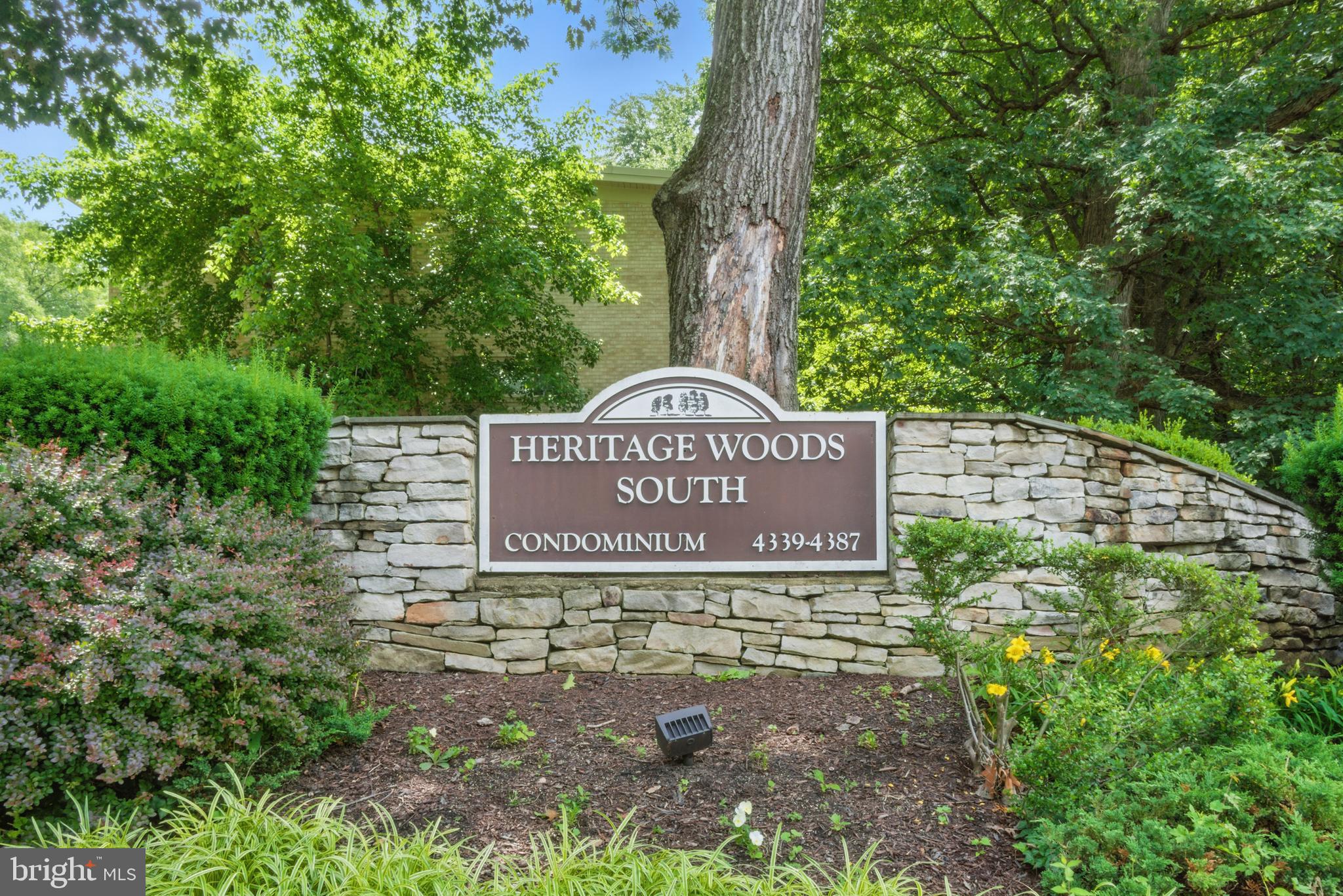 4379 AMERICANA DRIVE 201