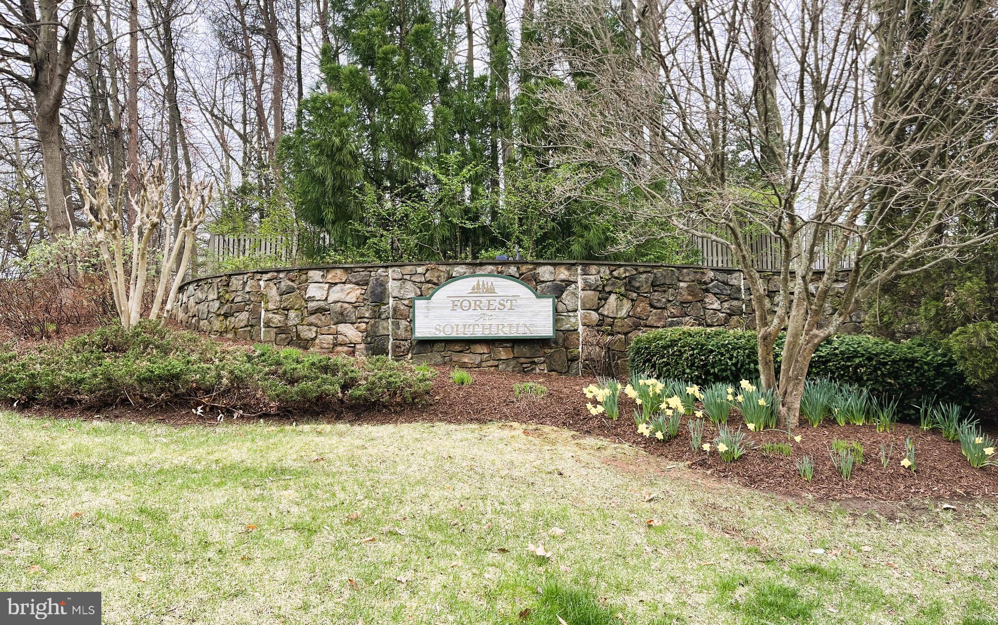 FOREST AT SOUTHRUN - Residential