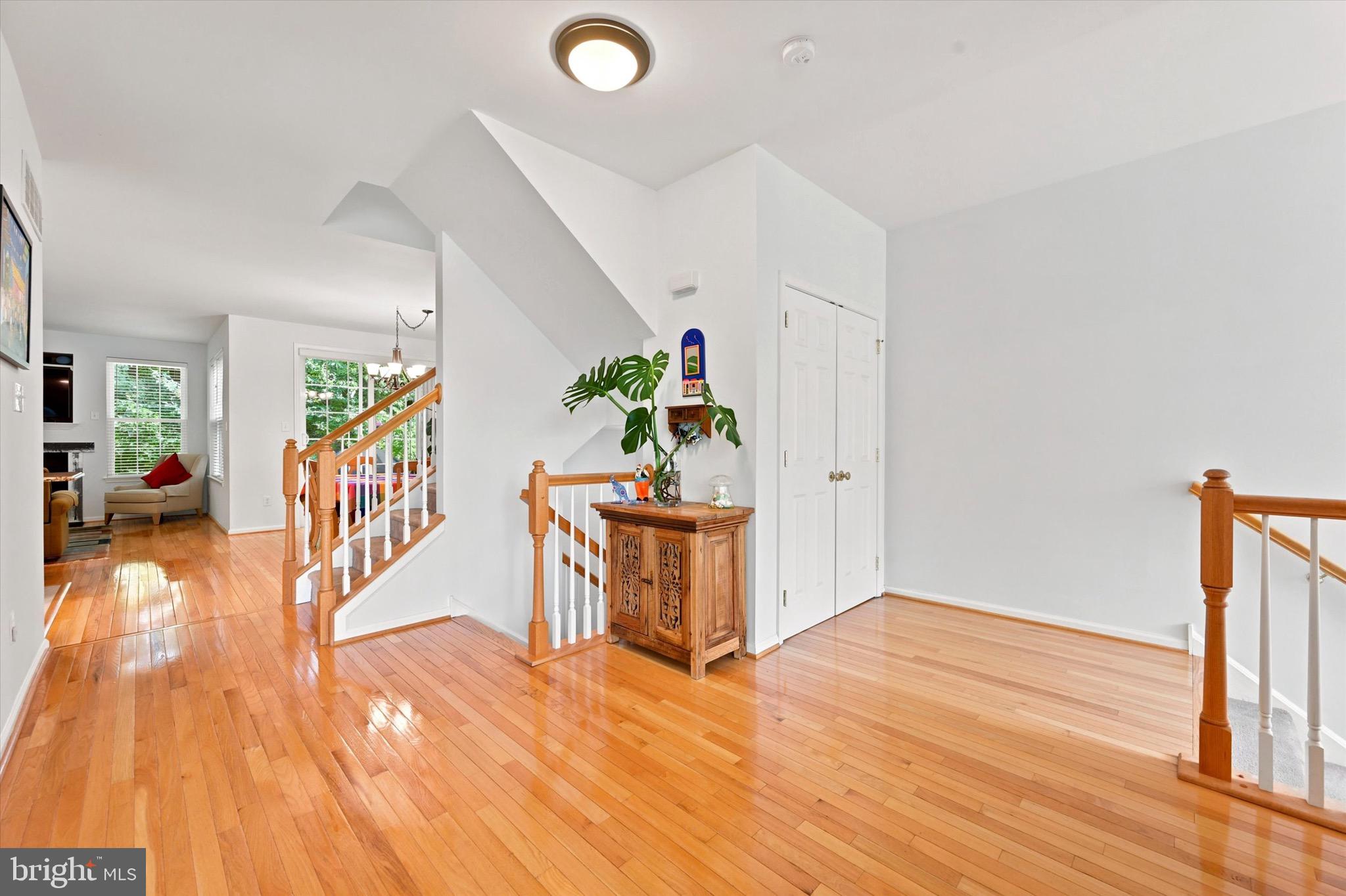 244 CHERRY LANE 19