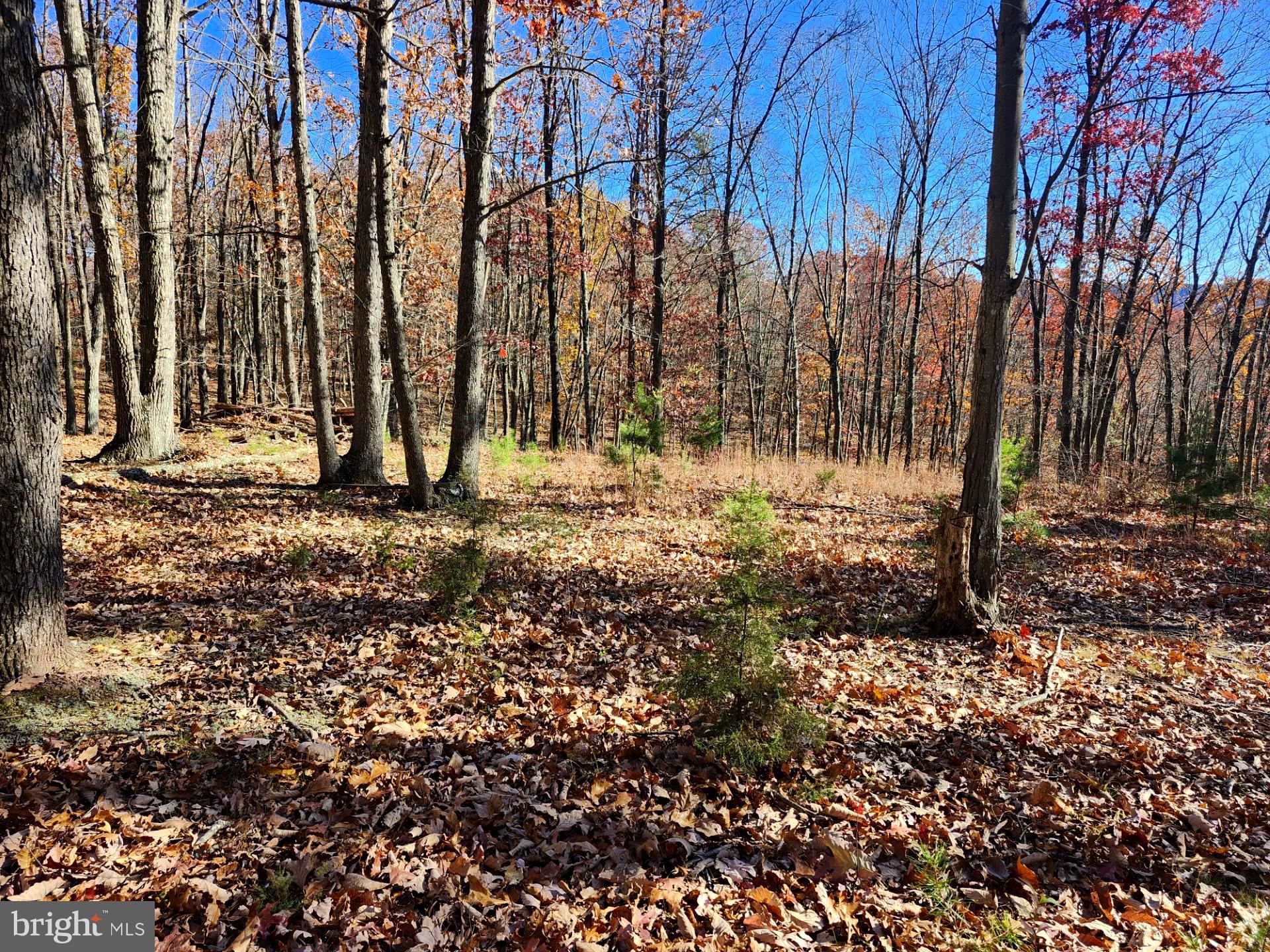 NORTH RIVER WILDERNESS - Land