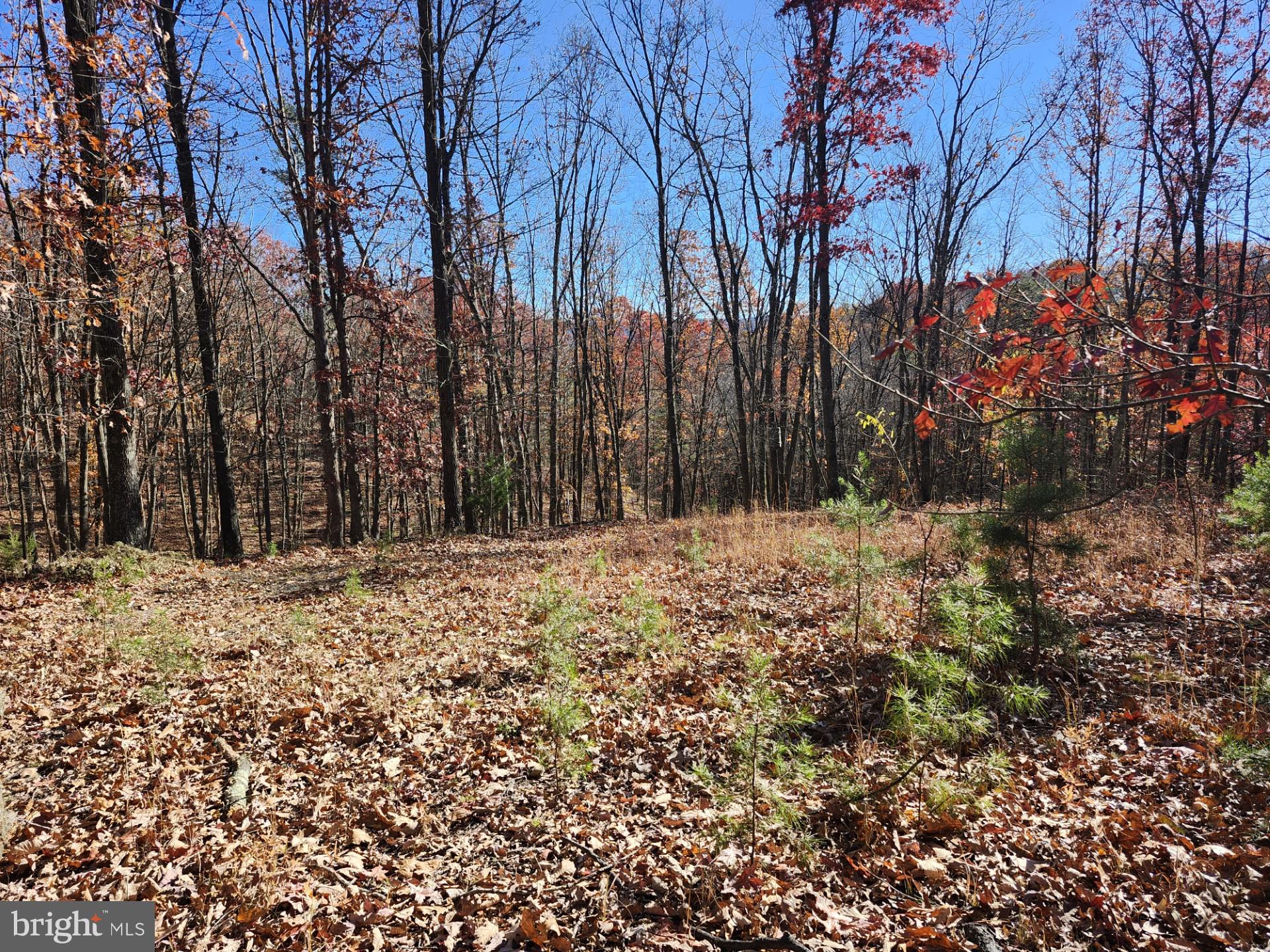 NORTH RIVER WILDERNESS - Land