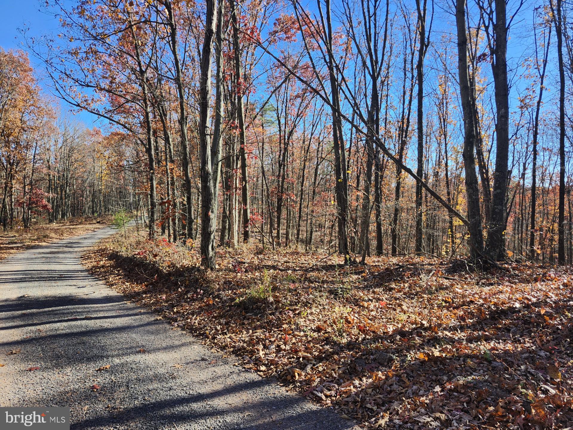 NORTH RIVER WILDERNESS - Land