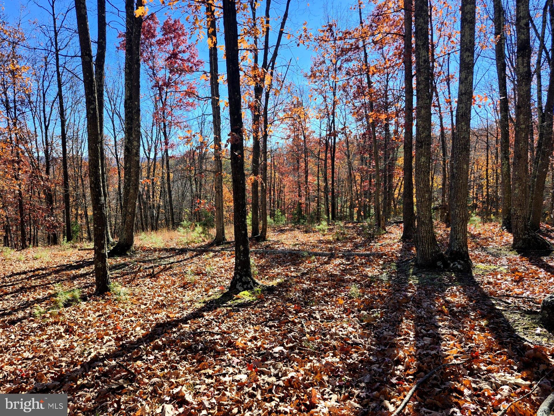 NORTH RIVER WILDERNESS - Land