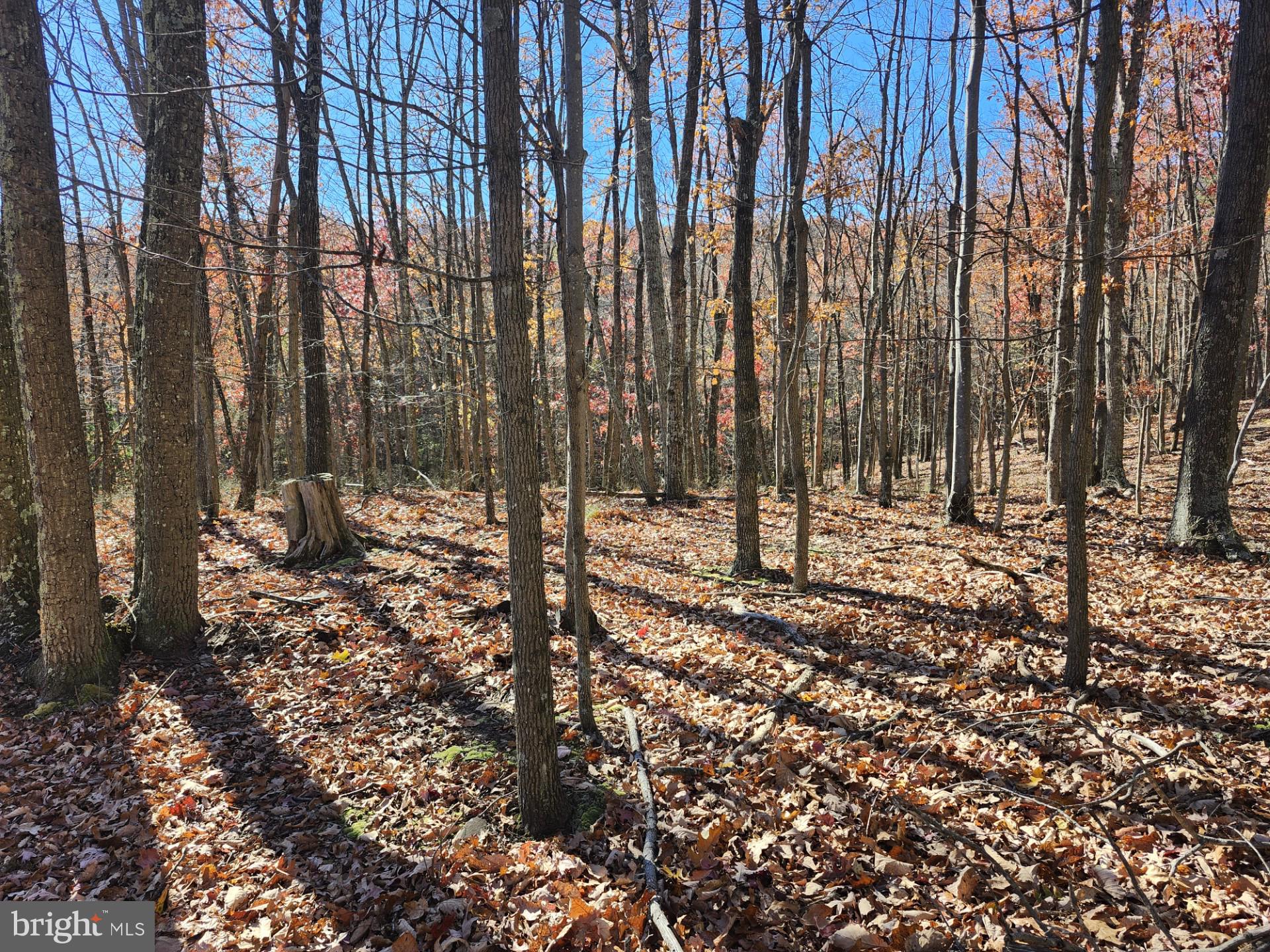 NORTH RIVER WILDERNESS - Land